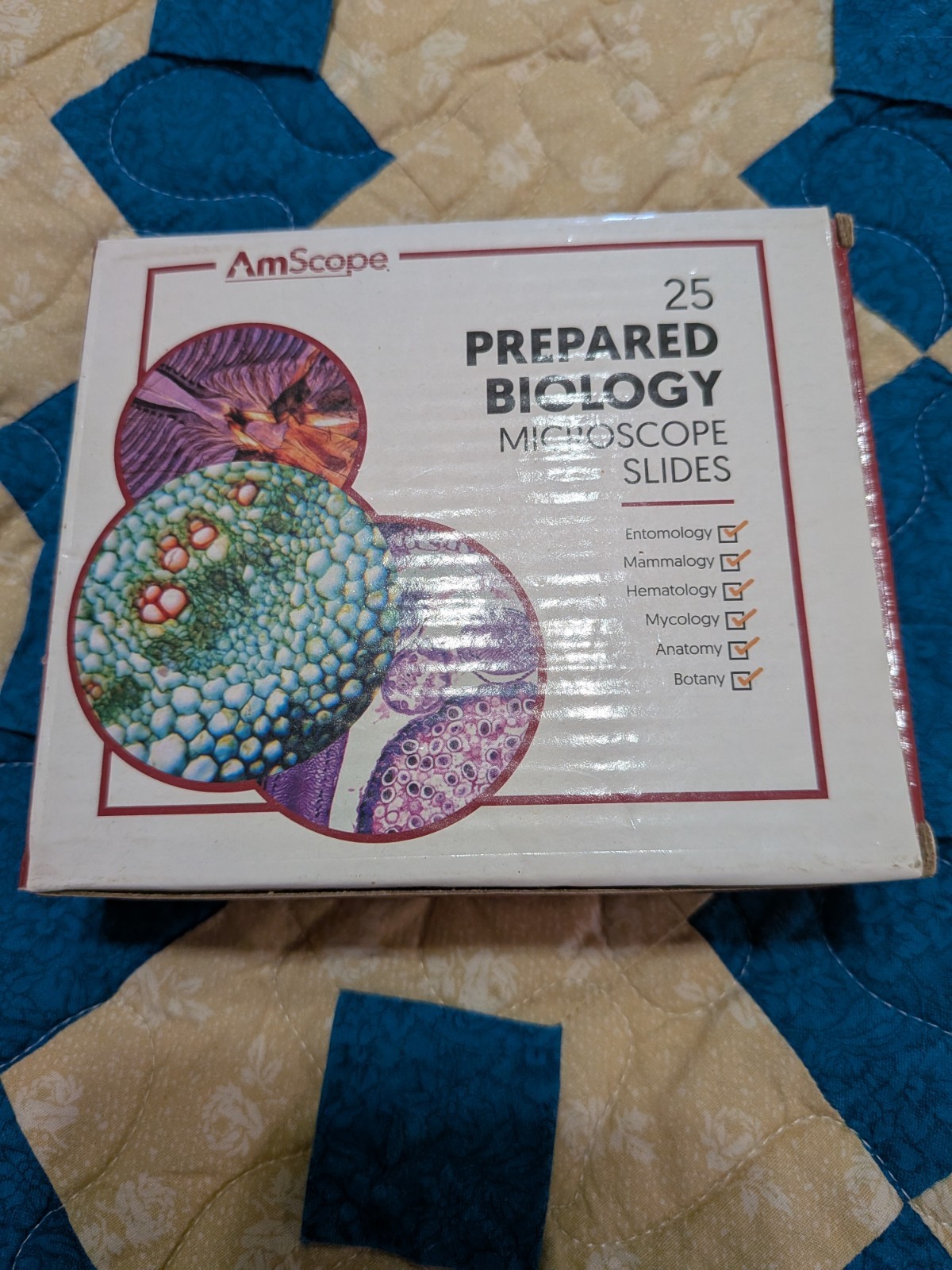 AmScope 25 Prepared Microscope Slides Glass with Wooden Box