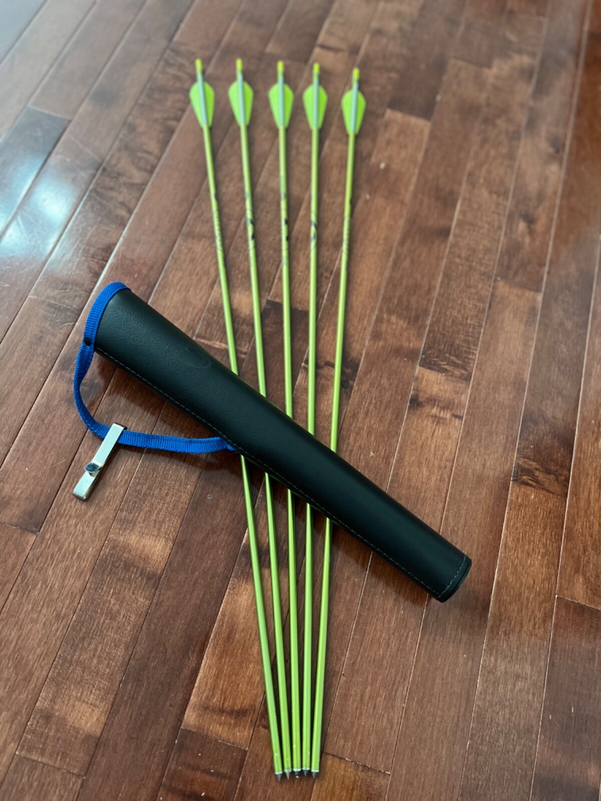 Gently Used Blue Genesis Compound Bow Set 