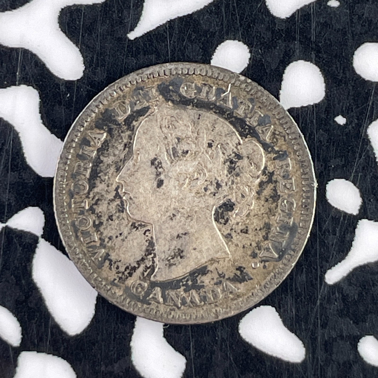 1886 Canada 5 Cents Lot#F2551 Silver!