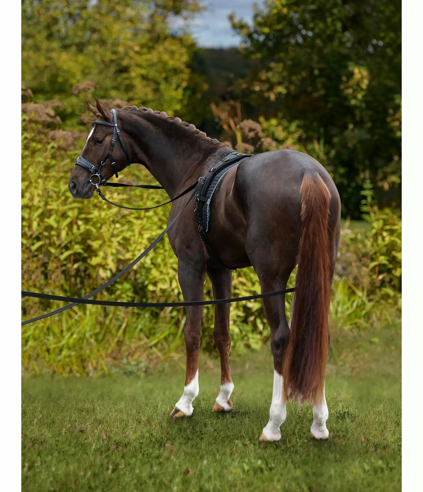 Redini Lunghe Da Addestramento - LONG TRAINING REINS