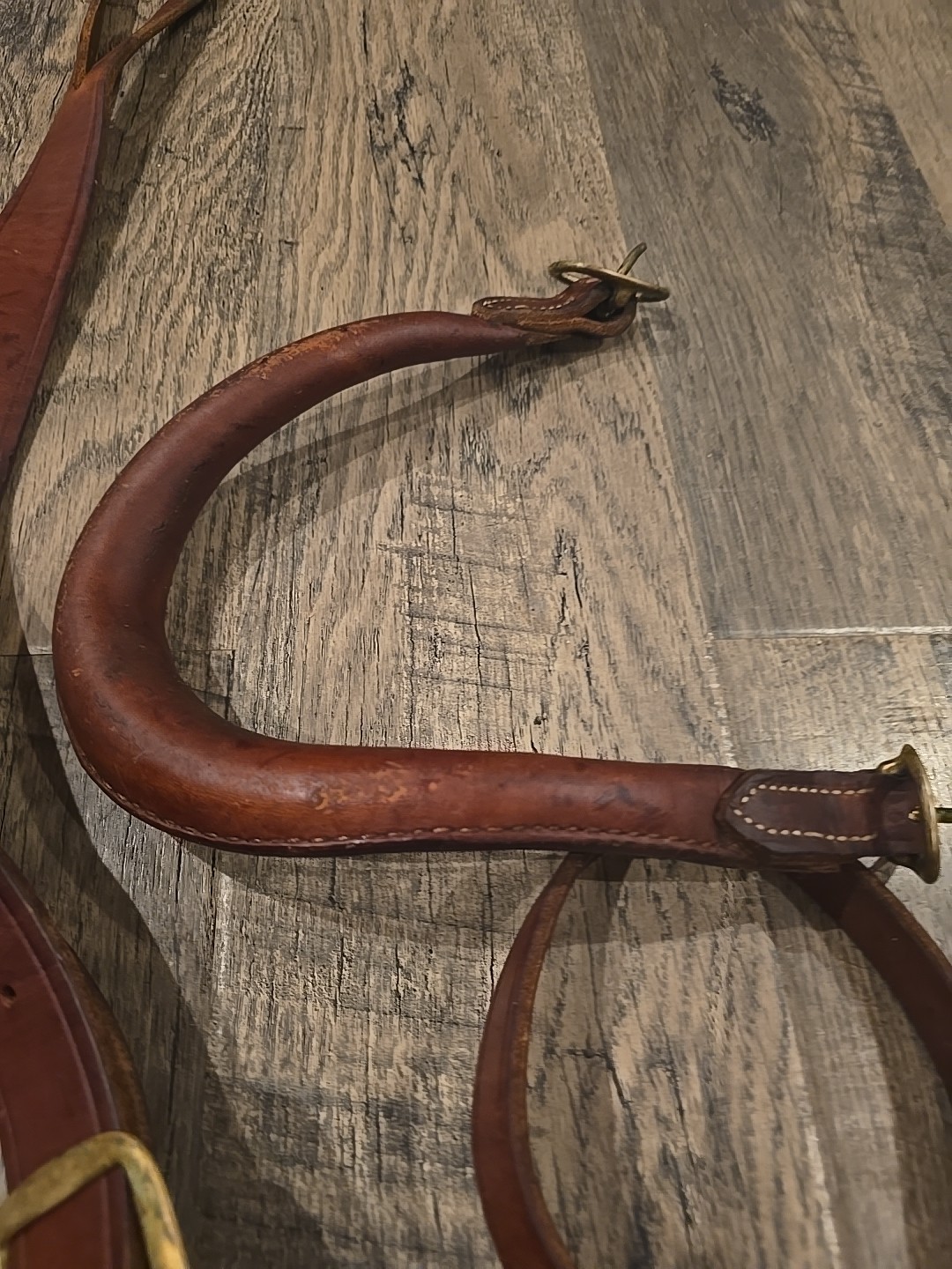horse training surcingle