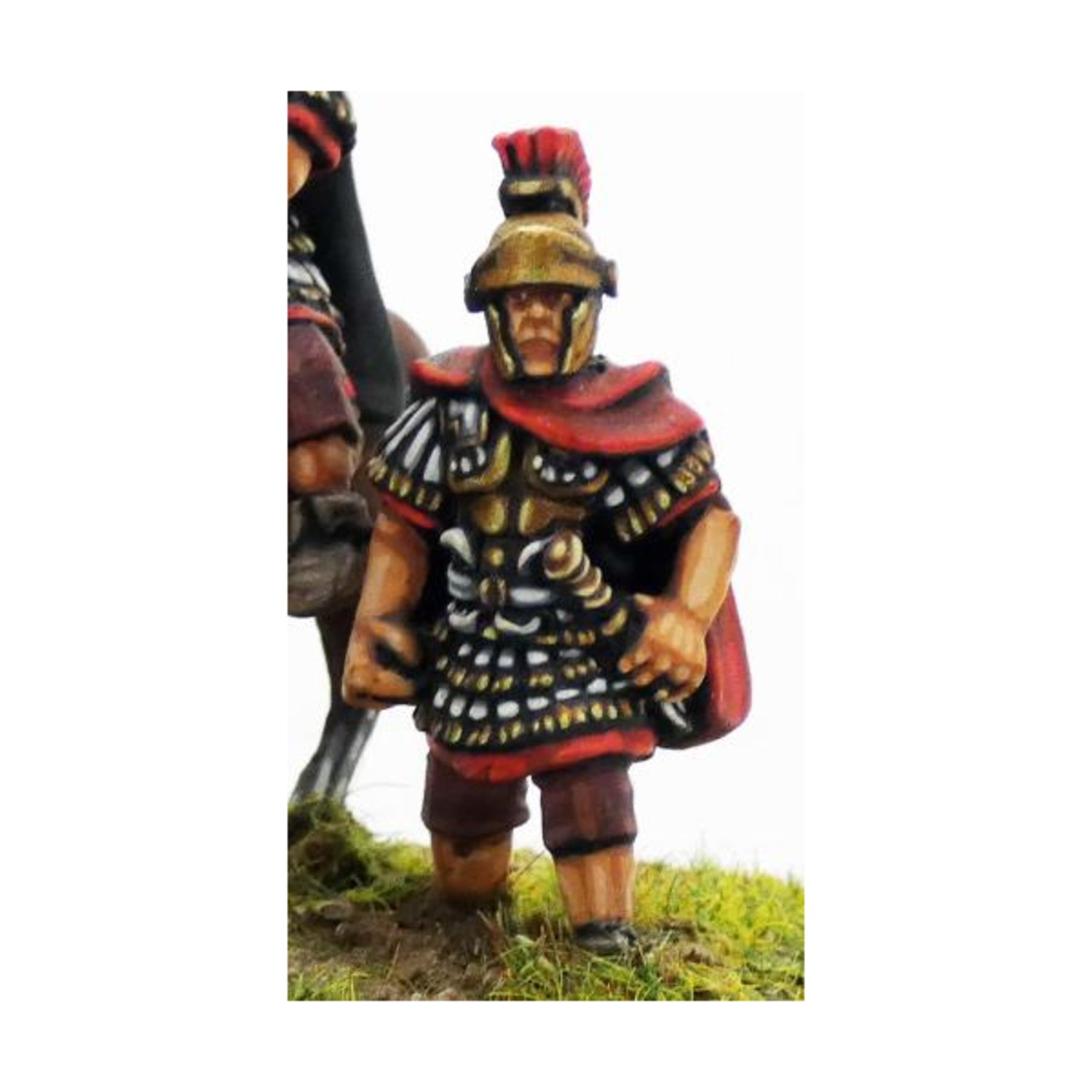 Gripping Beas Age of Hannibal Roman 28  Republican Roman Consul - on F Pack New