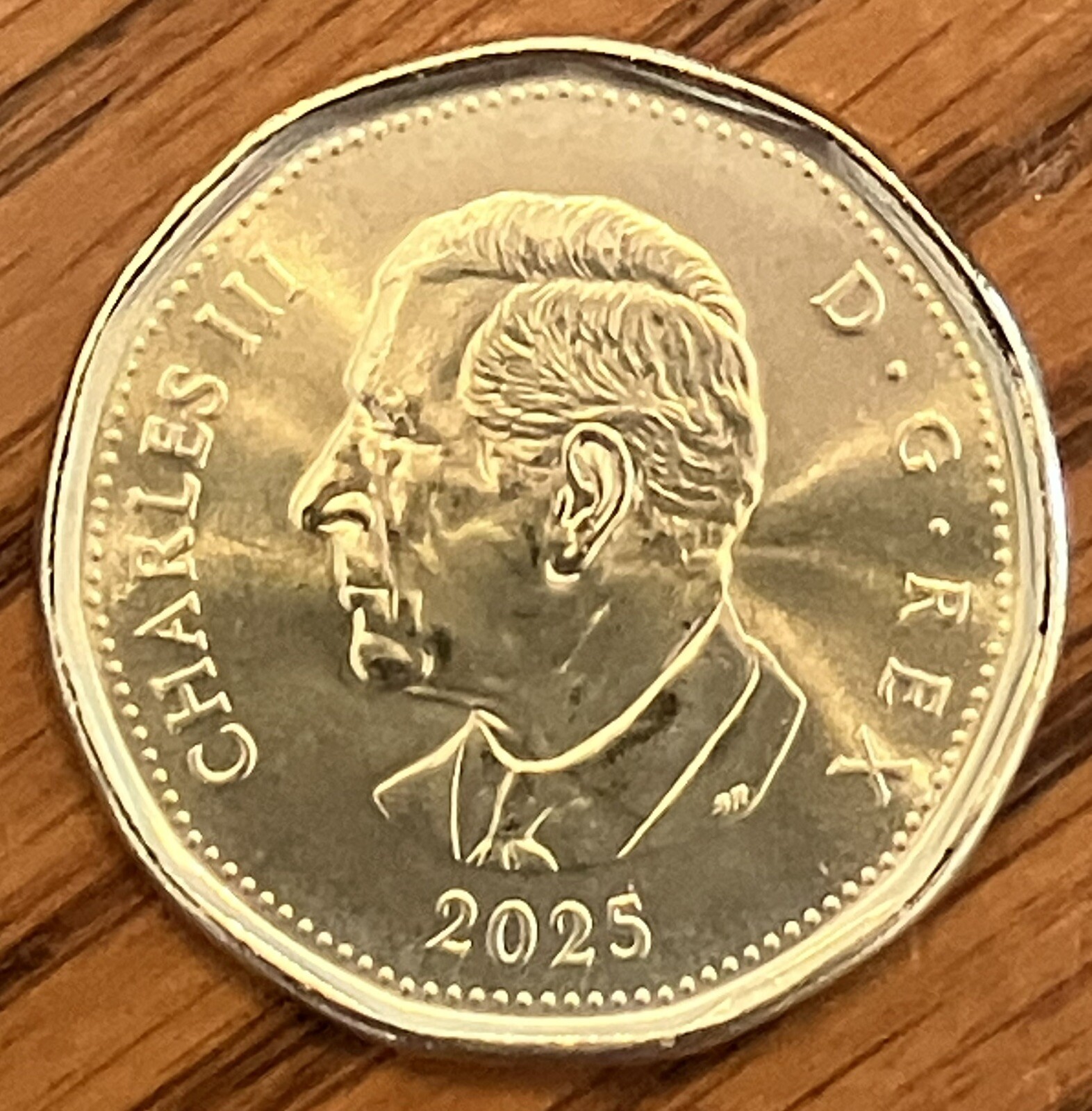 2025 Canada $1 one dollar loonie UNCIRCULATED **75% off combined shipping**