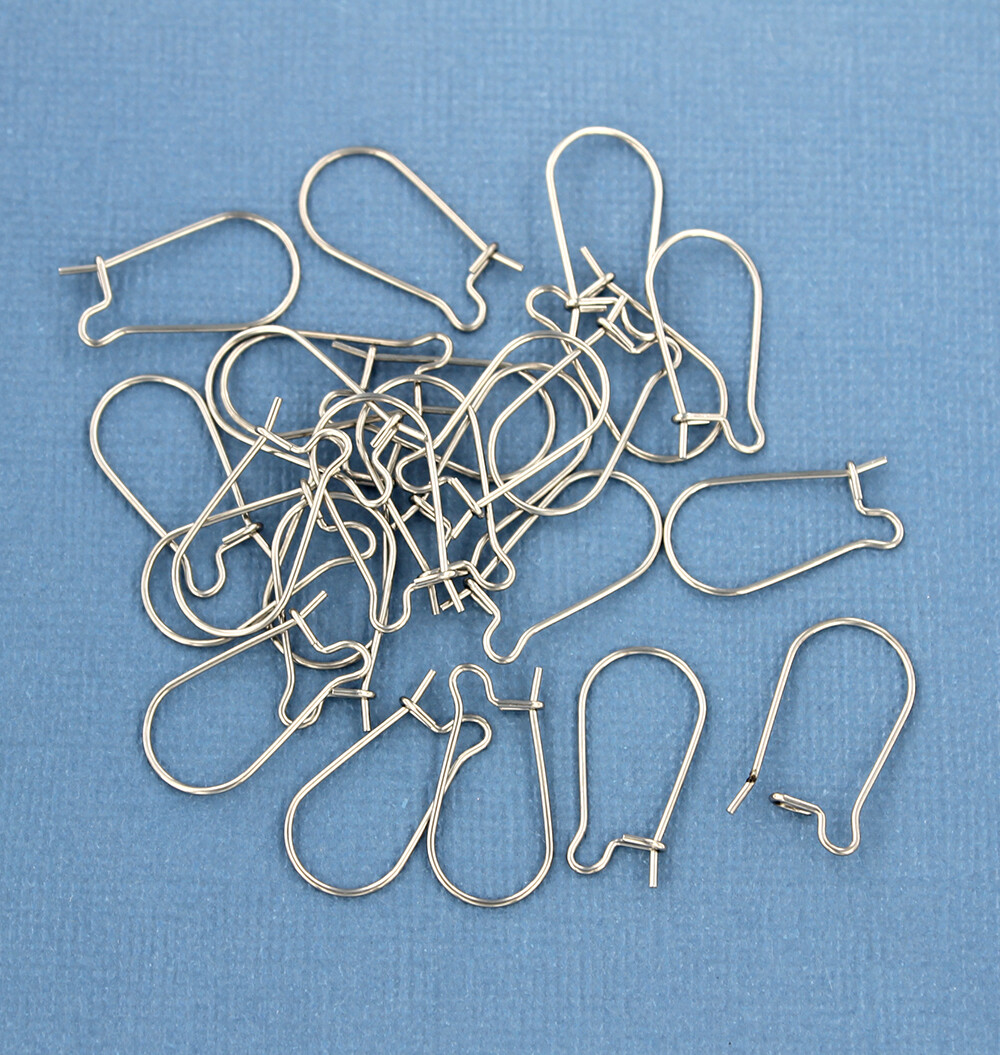 20 Stainless Steel Earring Wires - Kidney Hooks 10 Pairs 20mm x 10.5mm - Z693