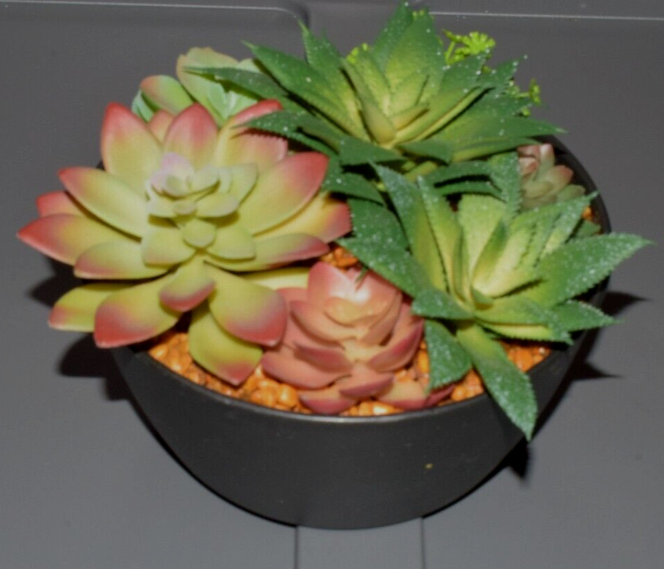 Artificial Succulent Plants in Hard Plastic Black Pot VGC!