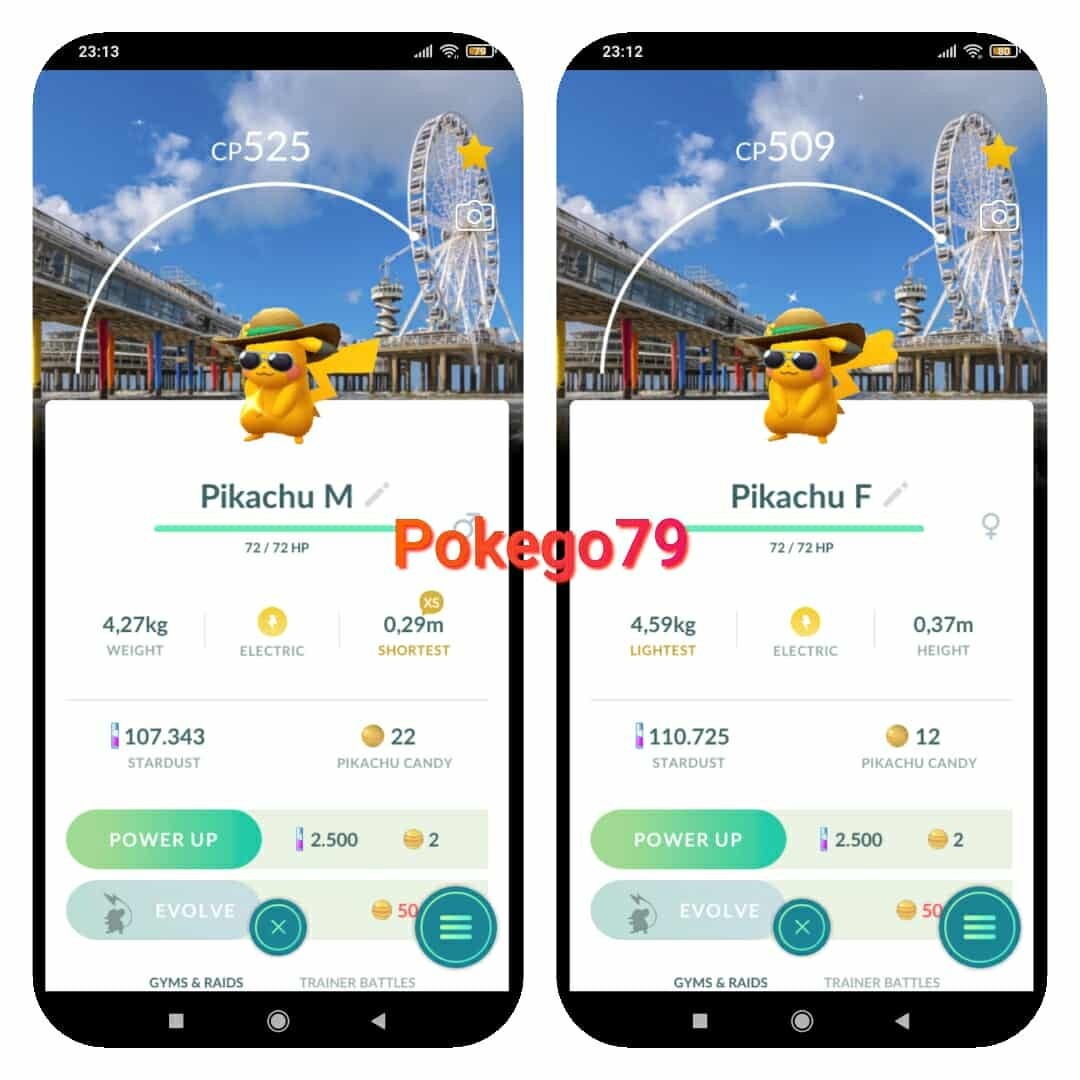 Shiny Pikachu Summer Hat (Den Haag Netherlands Background) - Male or Female