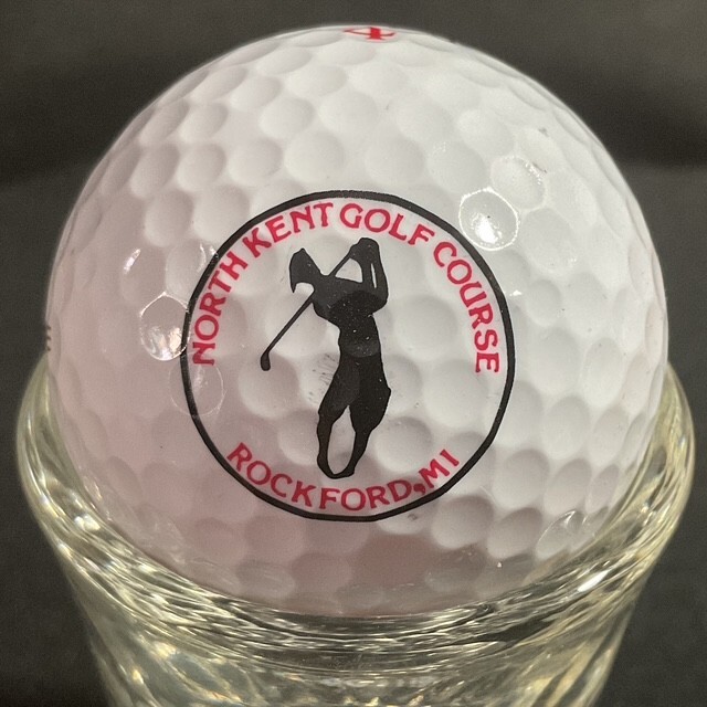 MICHIGAN "N+O" GOLF COURSE LOGO BALLS