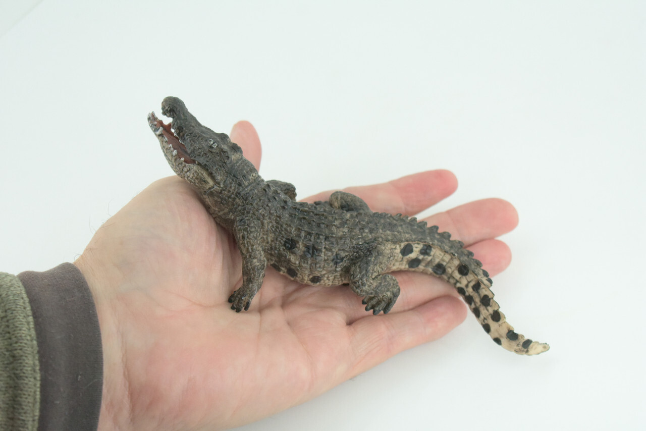 Alligator Toy, Crocodile, Movable Jaws, Realistic Rubber Model, 7" CH817 BB189