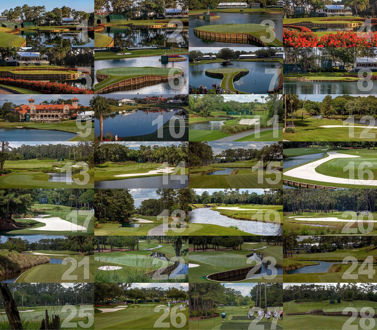 TPC Sawgrass Golf Hole Photo Tournament Player 26"x13" Panorama Print 28 CHOICES