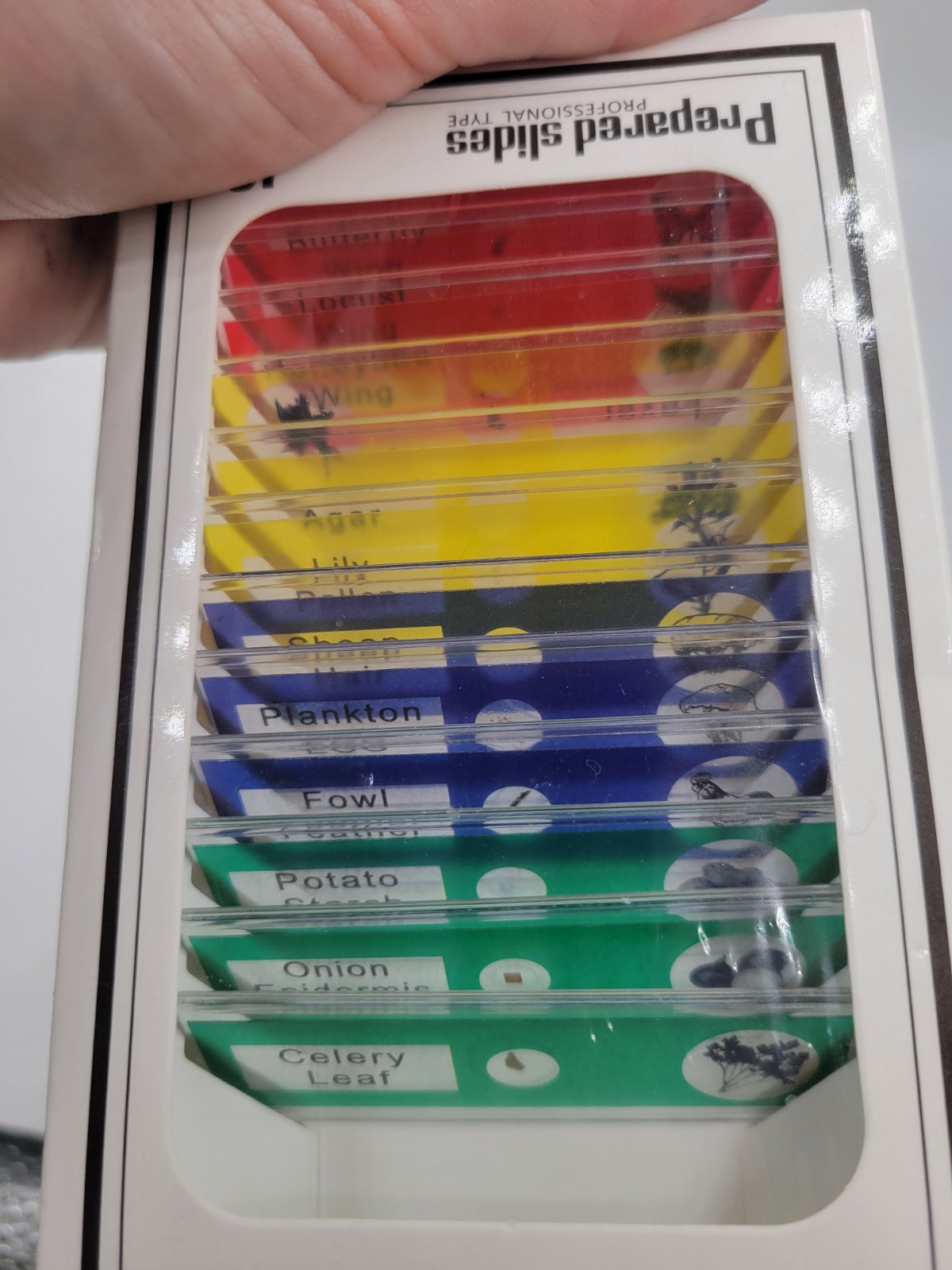 Prepared Slides Professional Type 12 Kinds