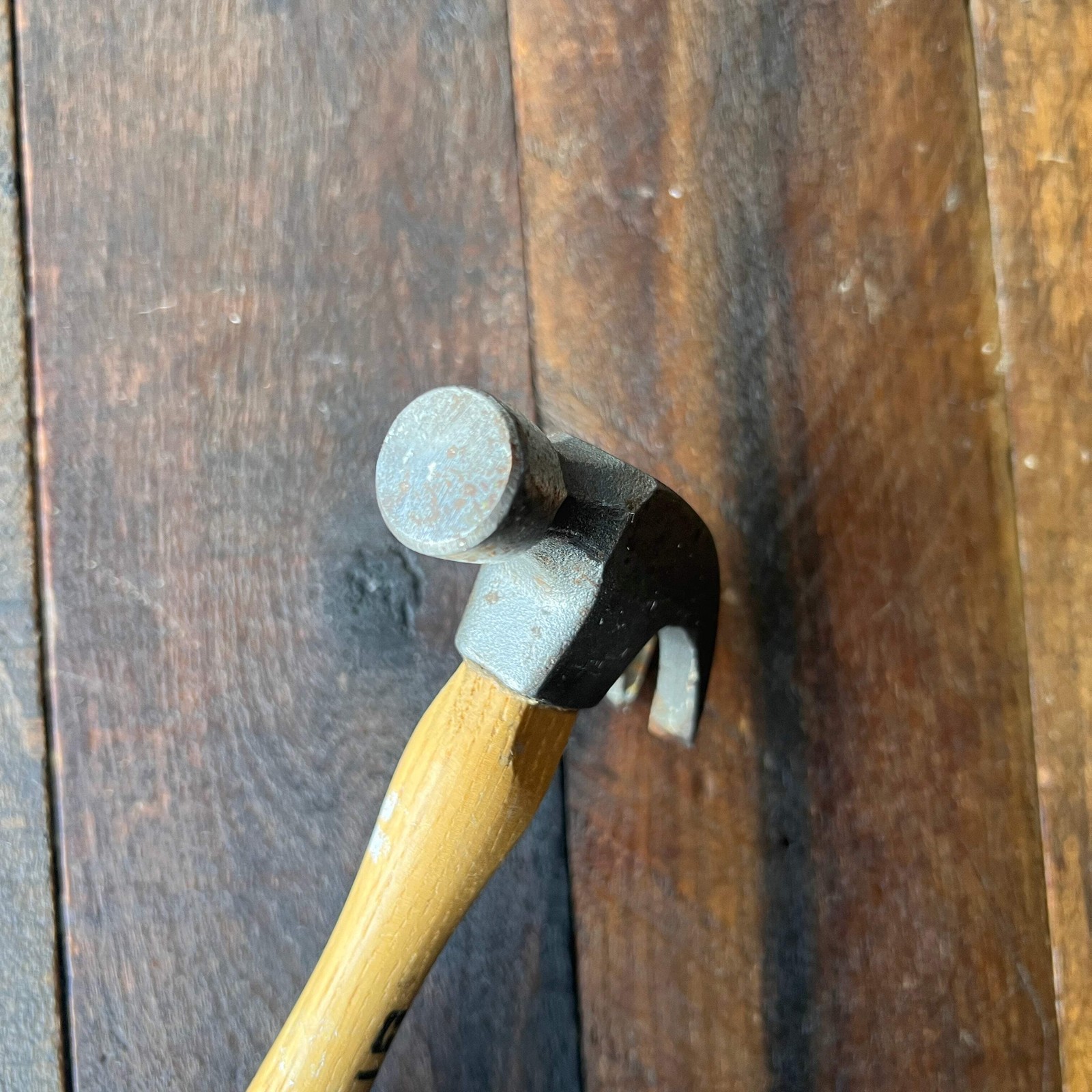 Truper Claw Hammer Wood Handle 0.72 Lb