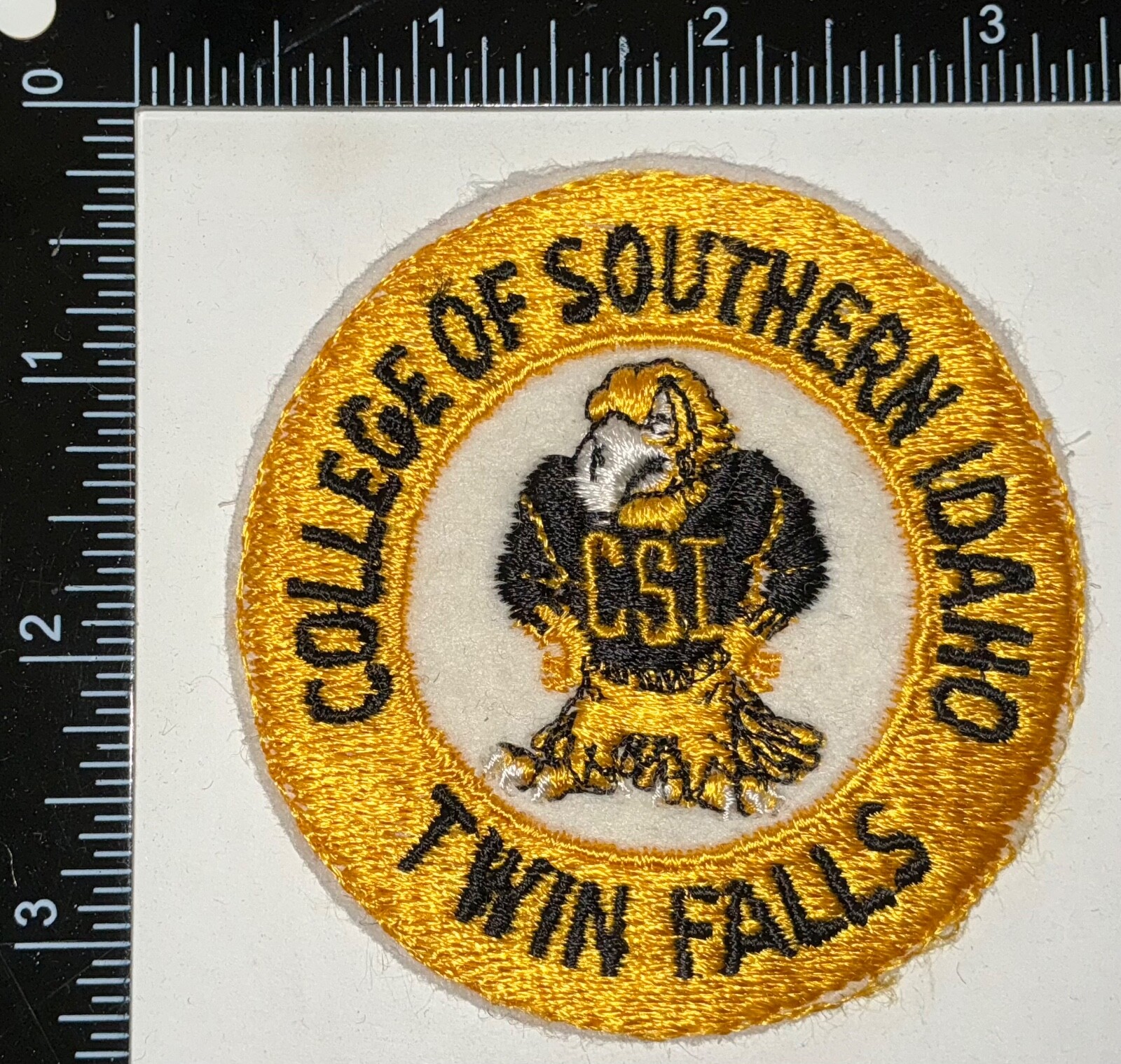 College Southern Idaho Twin Falls Army Reserve Officer Training Corps ROTC Patch