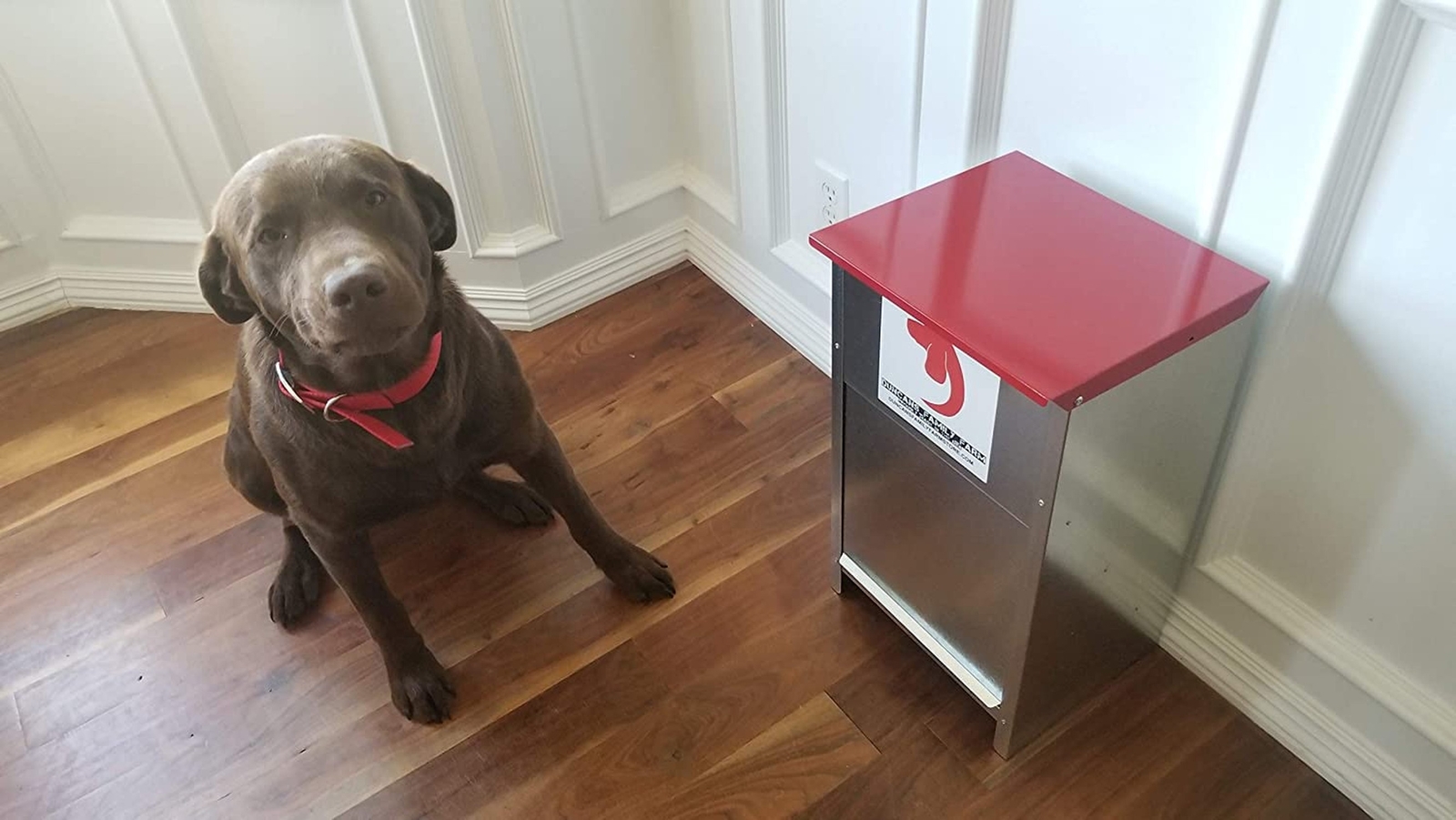 Duncan's Dog Feeder - Galvanized Metal Pet Food Station for Outdoor... Fast Ship