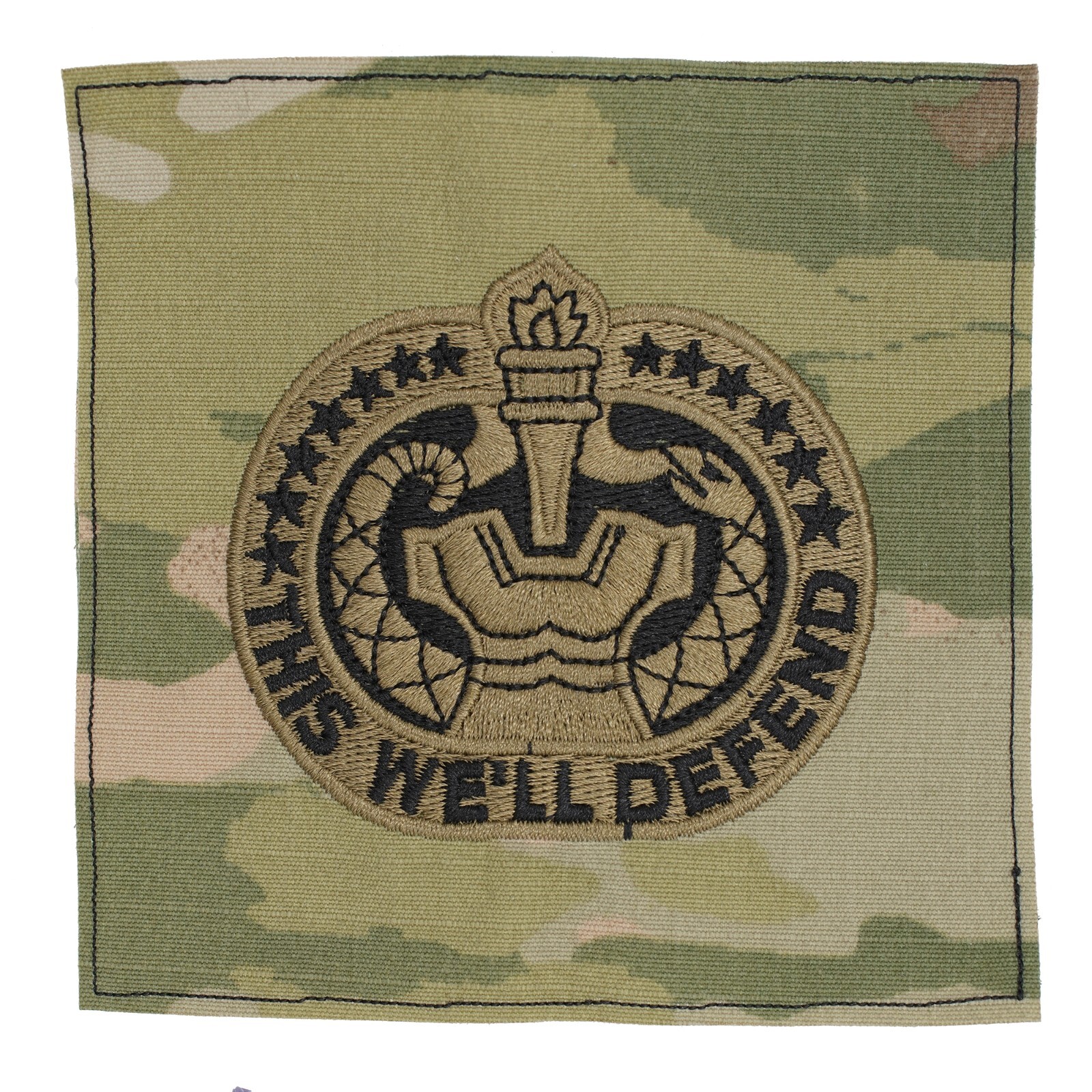 US Army Drill Sergeant (Instruct) OCP Sew-on Badge
