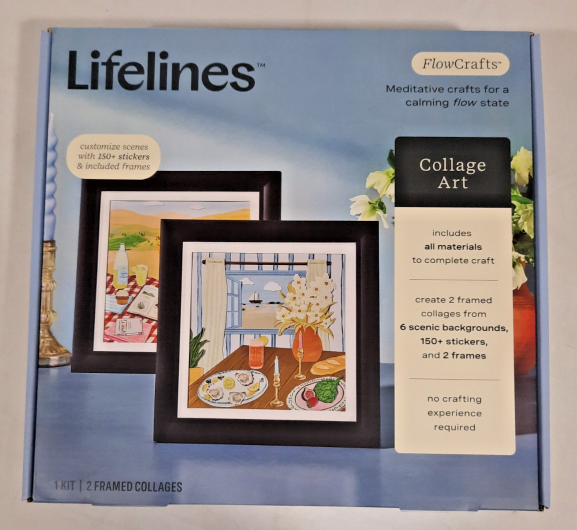 NEW LIFELINES FLOWCRAFTS COLLAGE ART KIT WITH TWO FRAMED COLLAGES, 6 BACKGROUNDS