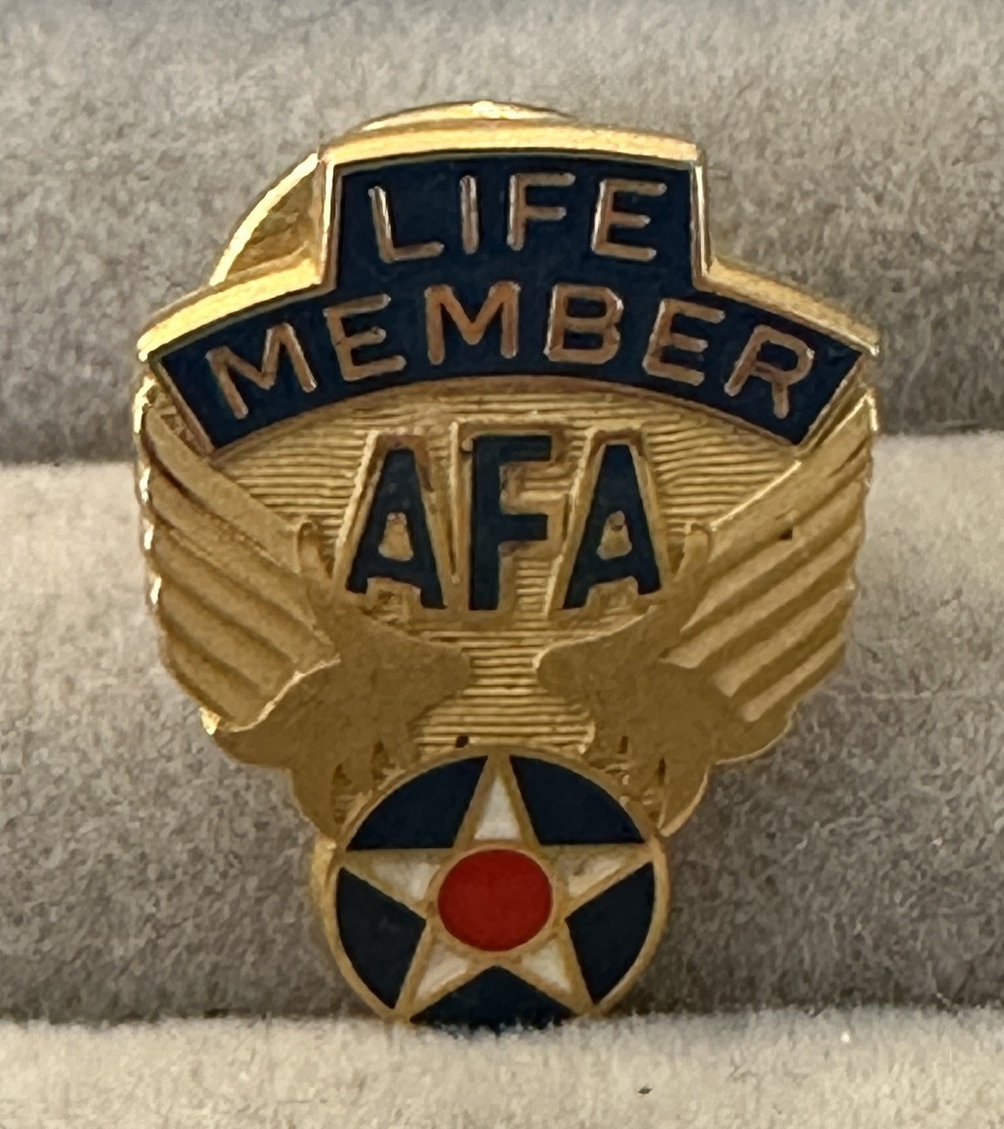 Vintage Gold Tone & Enamel AFA Life Member Air Force Association Hat Lapel Pin