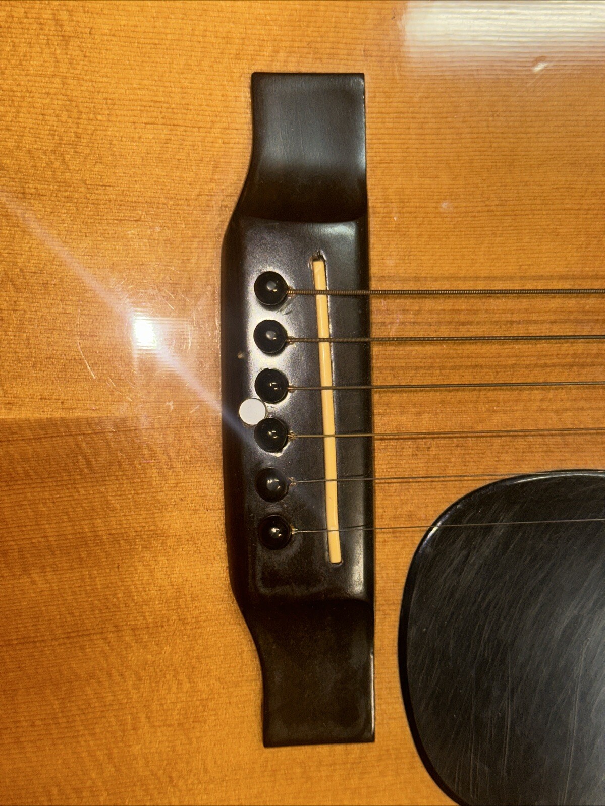 Conqueror Classical 6 String Guitar W/Hard Case