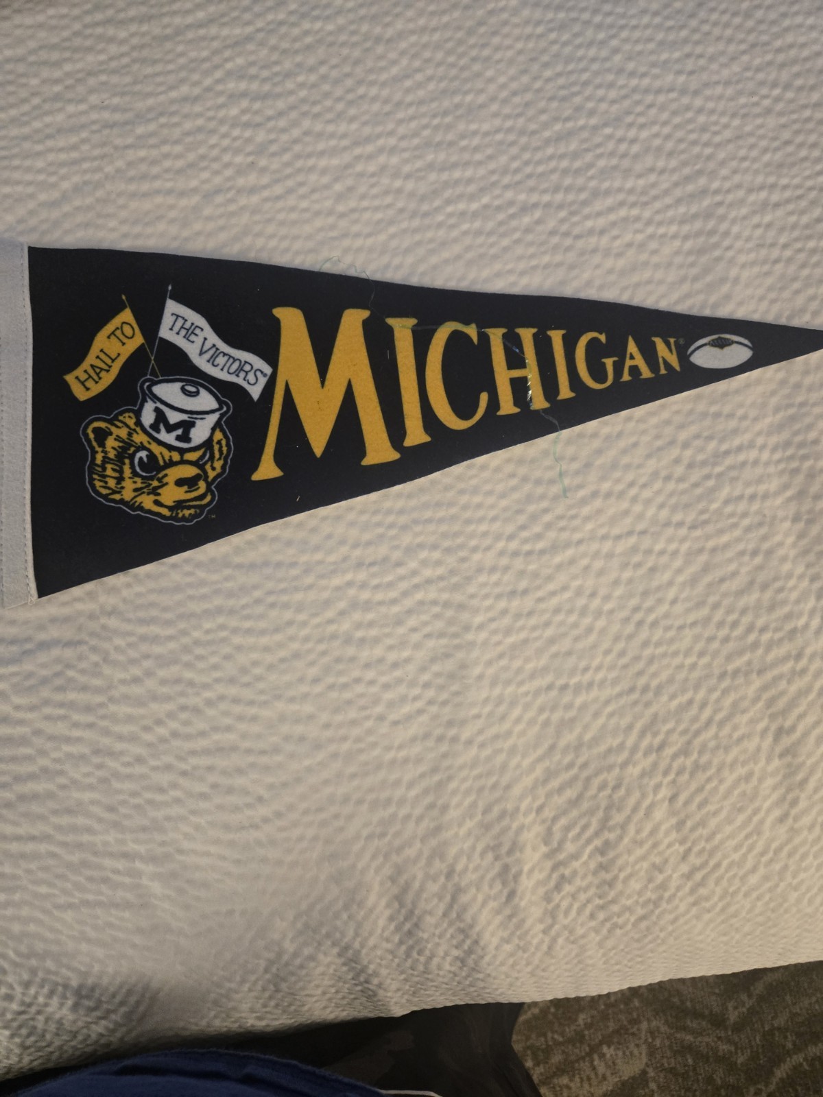 University of Michigan Wolverines pennant 17inch , a "throwback" vintage-style