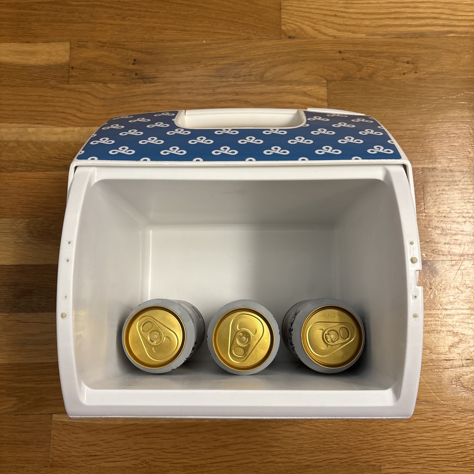 Igloo Cooler Cloud 9 Promotional Item