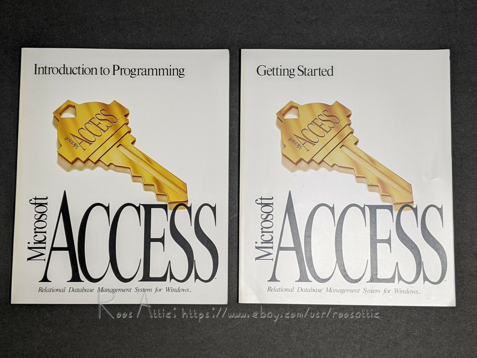 Microsoft Access Version 1.1 1993: User Guide / Language Reference / Programming