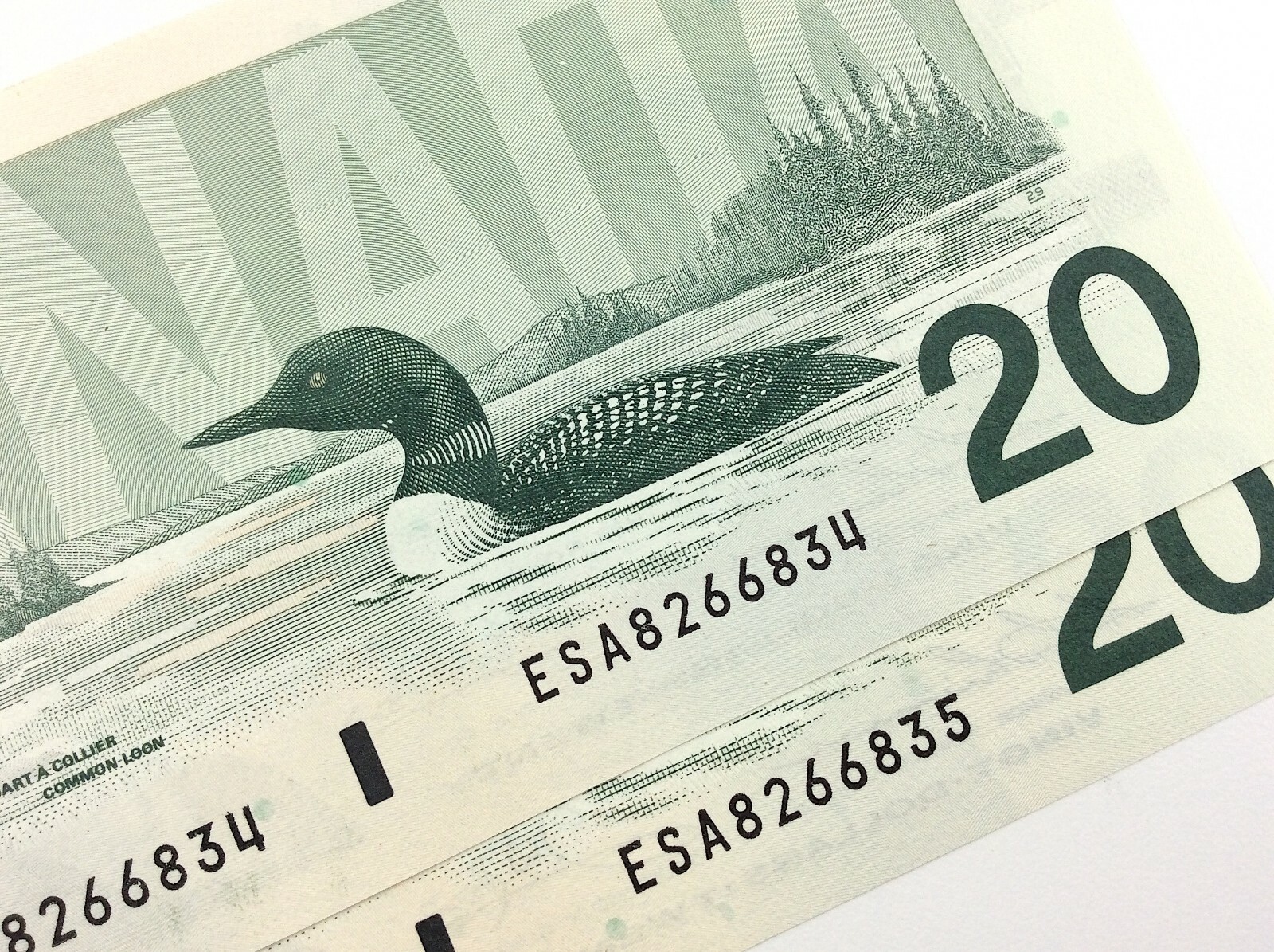 2 Consecutive 1991 Canada 20 Dollar Uncirculated Banknote ESA Thiessen Crow R373