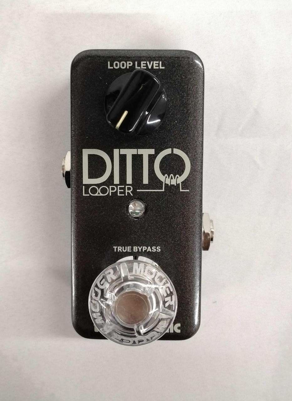 TC Electronic Effects DITTO LOOPER