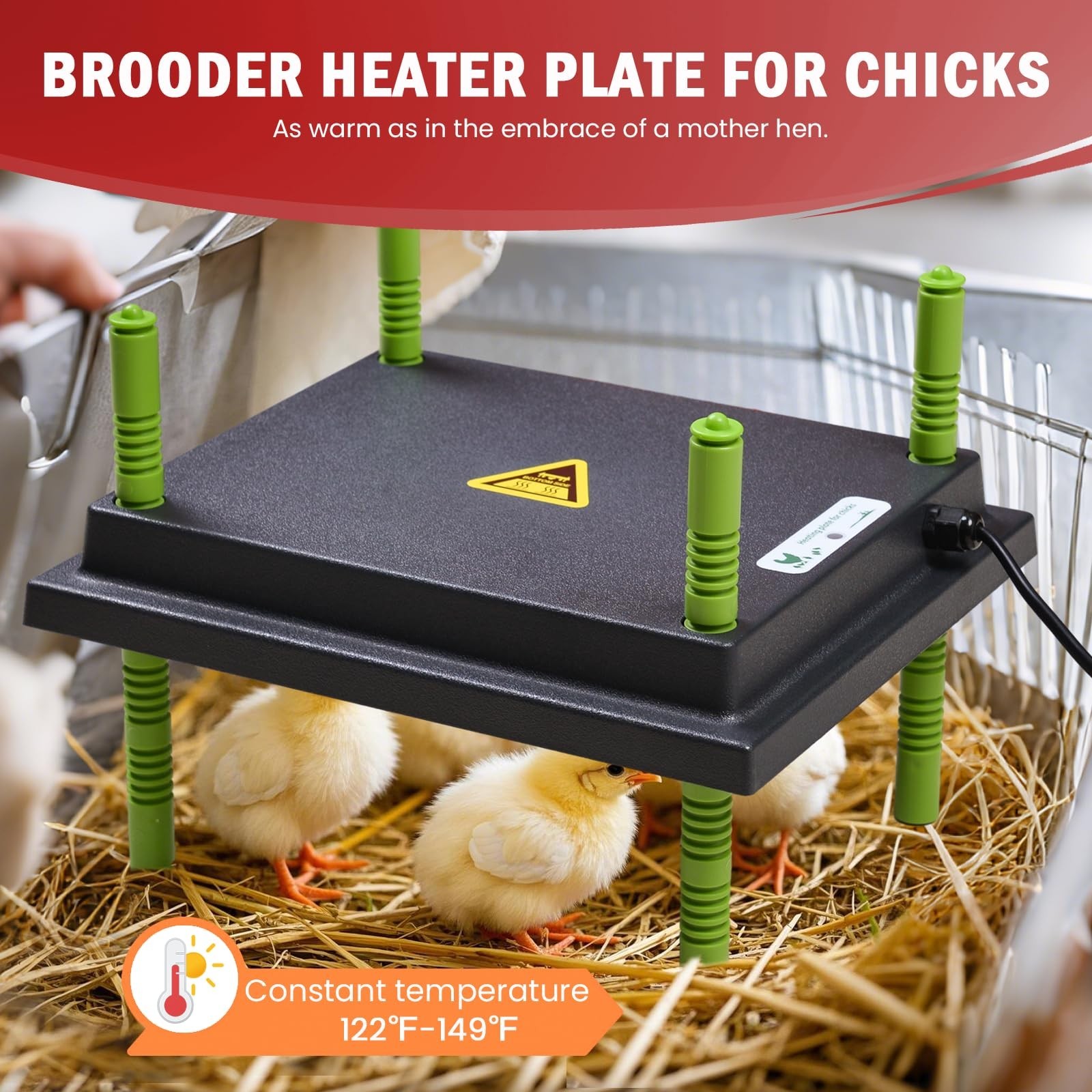 Chicken Brooder Box Kit - 10x12" Heating Plate, Feeder & Waterer - 4-in-1 Starte