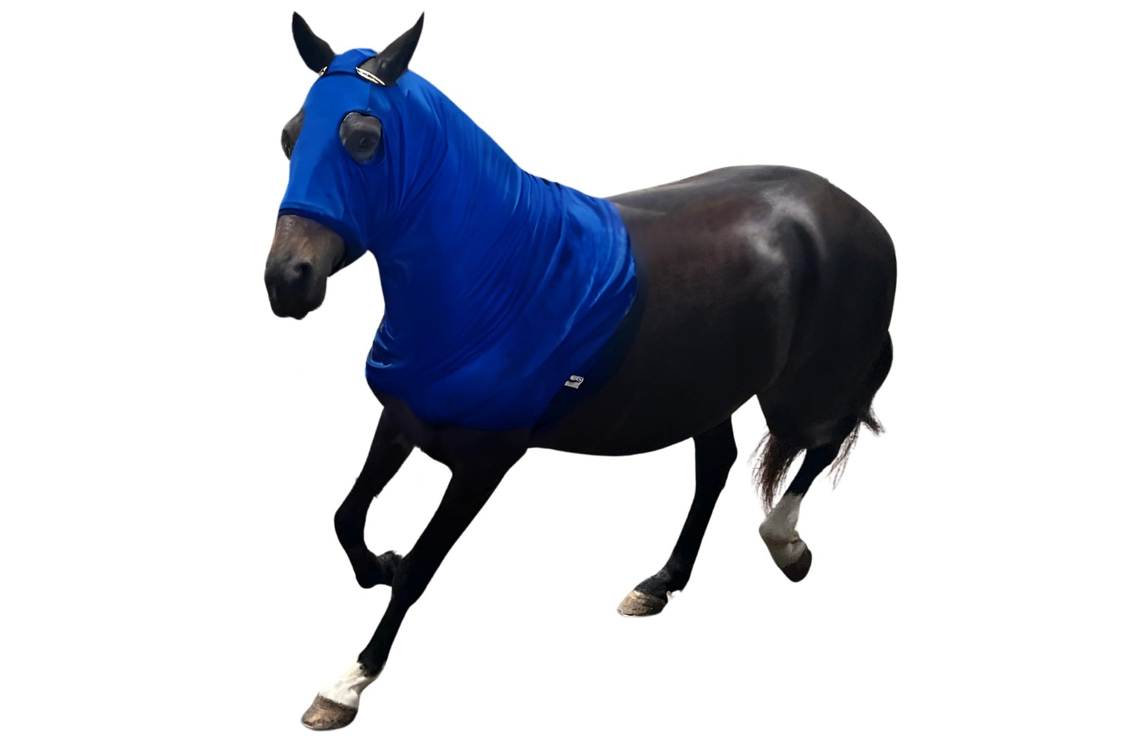 Horse Slinky Hood with Zipper, Stretch Spandex Horse Sleezy for Mane Protecti...