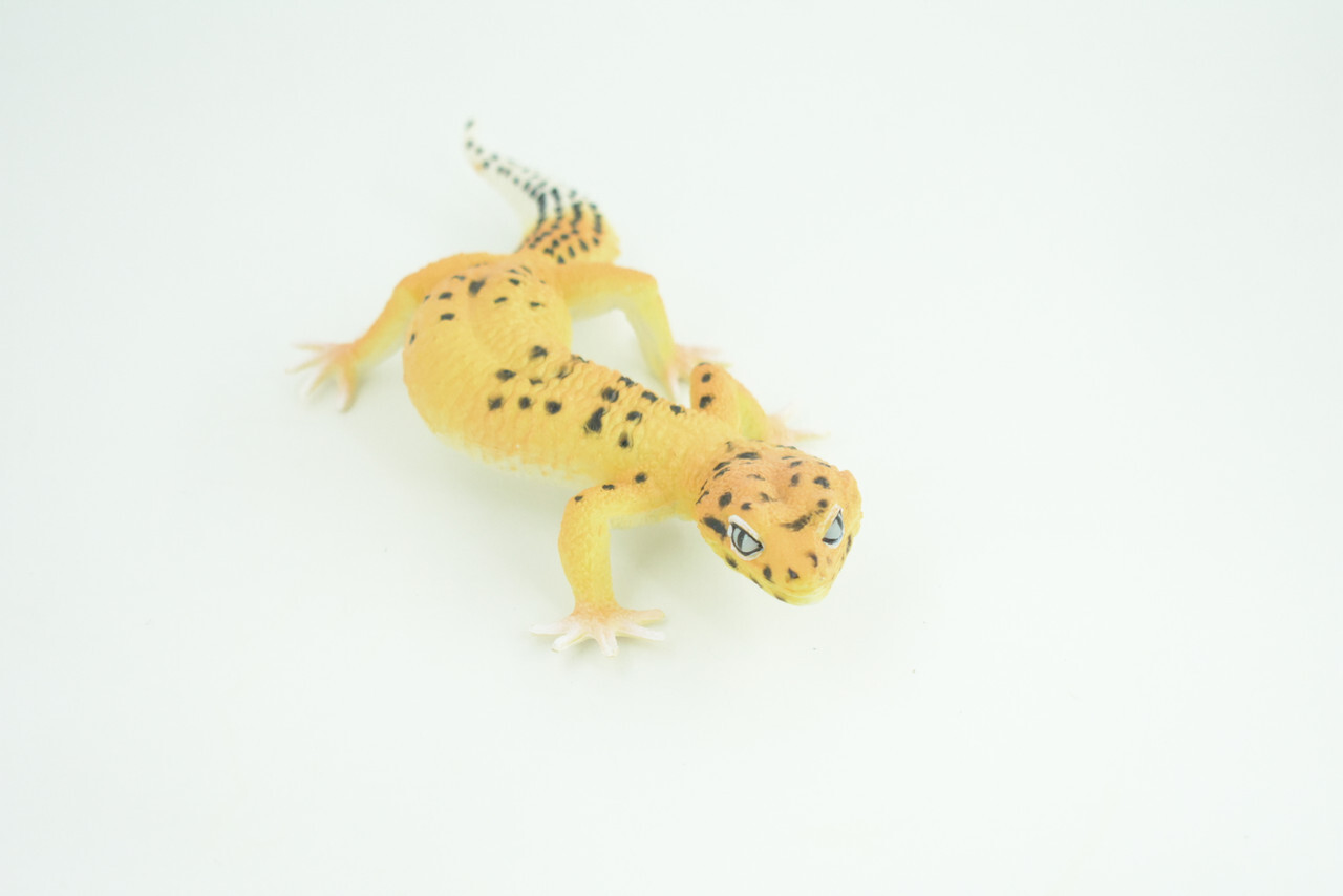 Leopard Gecko, Toy, Realistic Hand Painted Rubber Lizard Model, 7" CH786 BB185