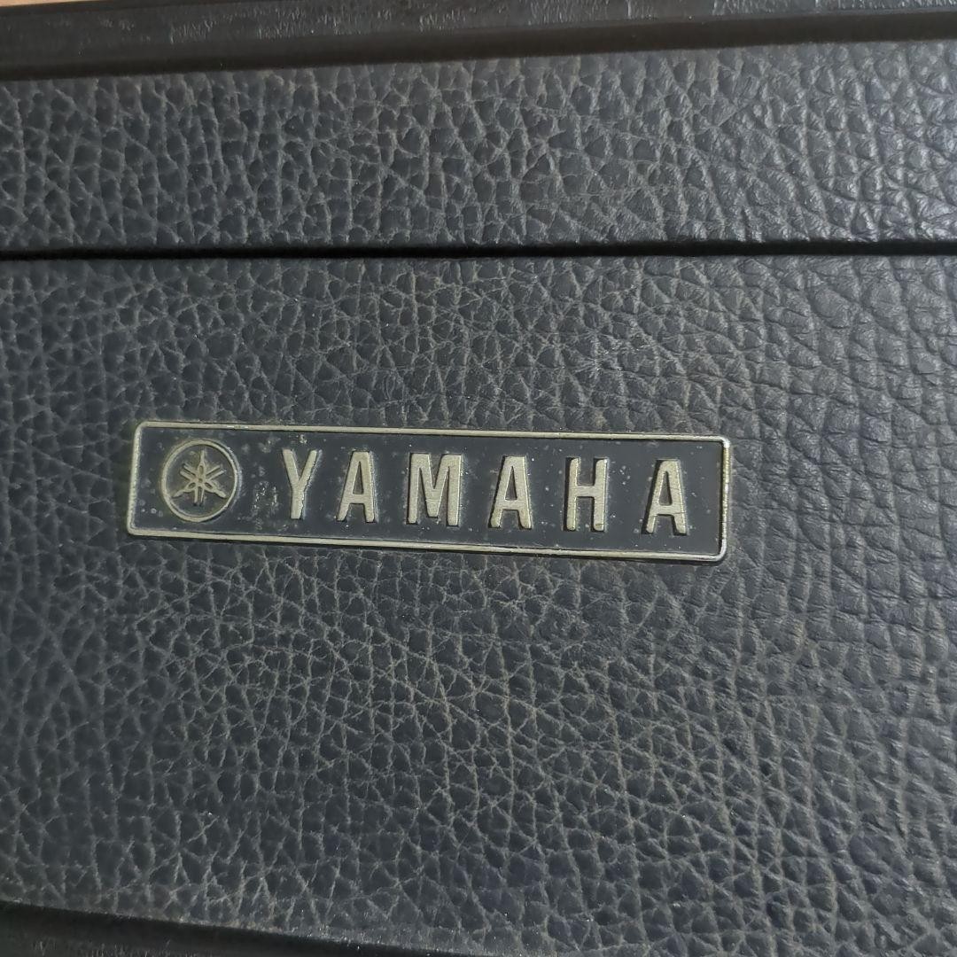 YAMAHA FG-252 with Case