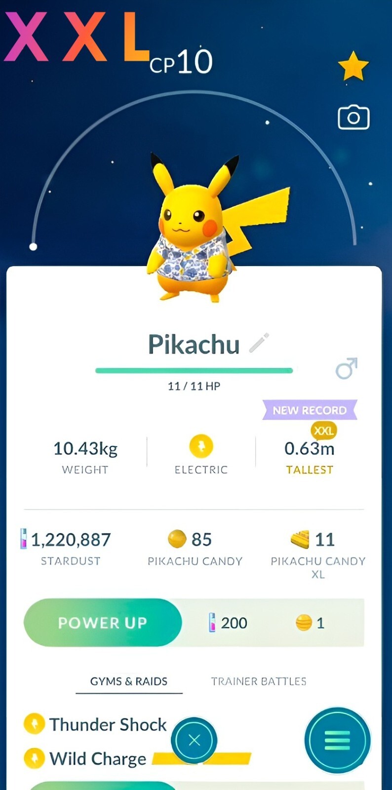 Pikachu XXL with a shirt in Okinawa | Registered | Tr-de Go ✨