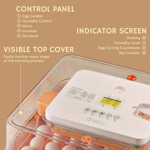 56 Incubators for Hatching Egg Incubator with Automatic Egg Turning and Humid