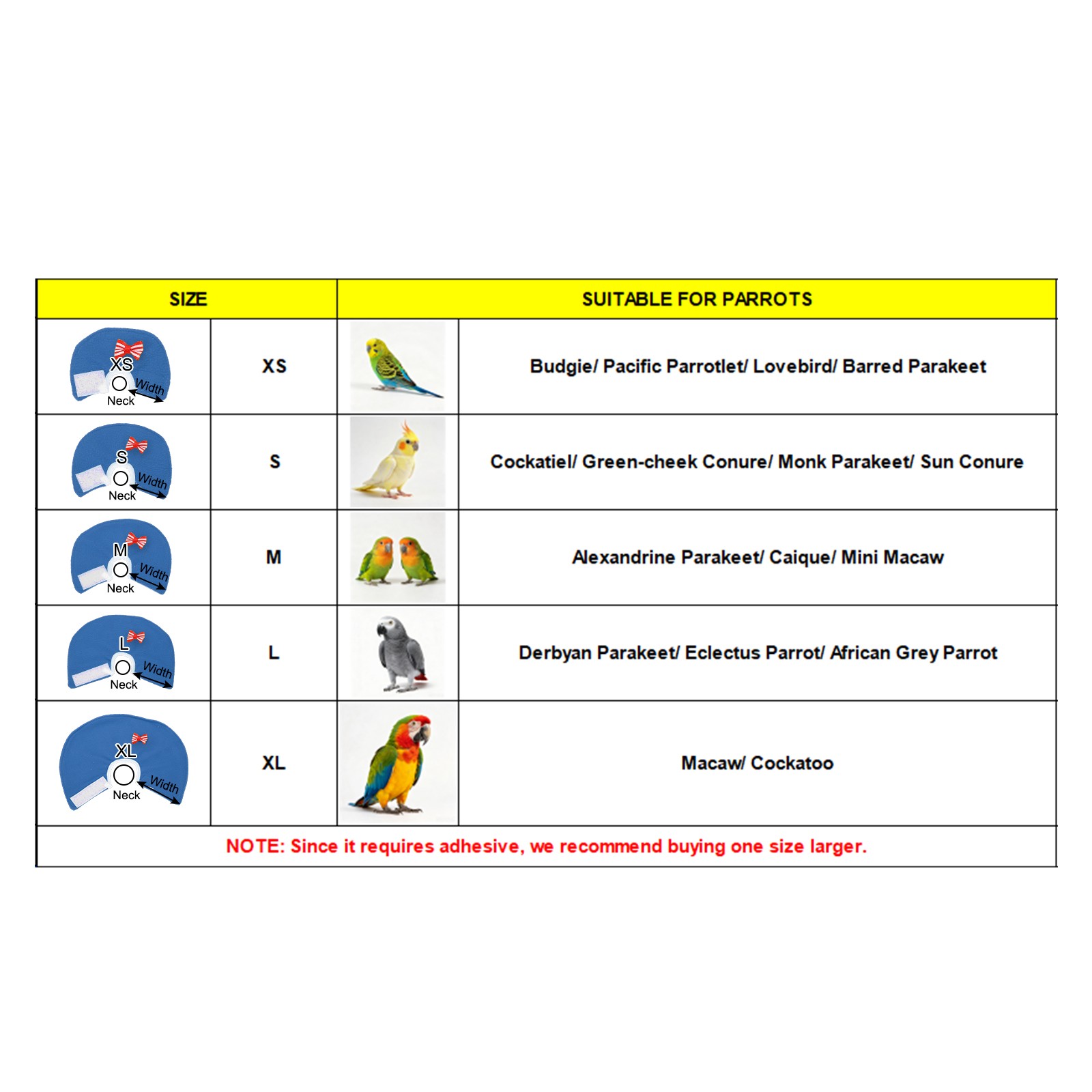 Bird Collars Bird Cone Collar Protective Cones Blue XS 3Pcs