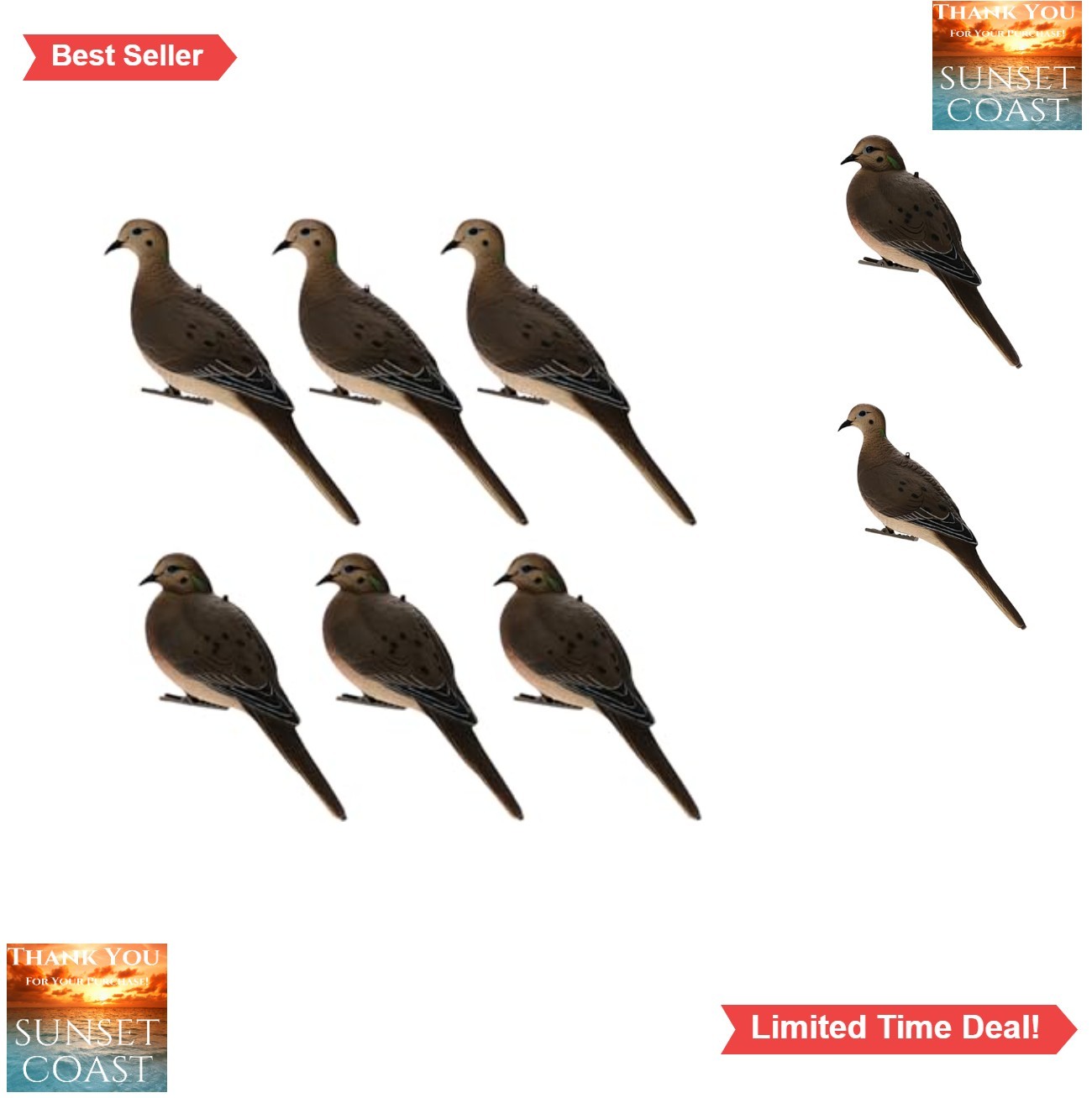 Dove Decoys Full Body 6 Pack Hunting 3 Resting 3 Alert with Eyelet Tree Clip