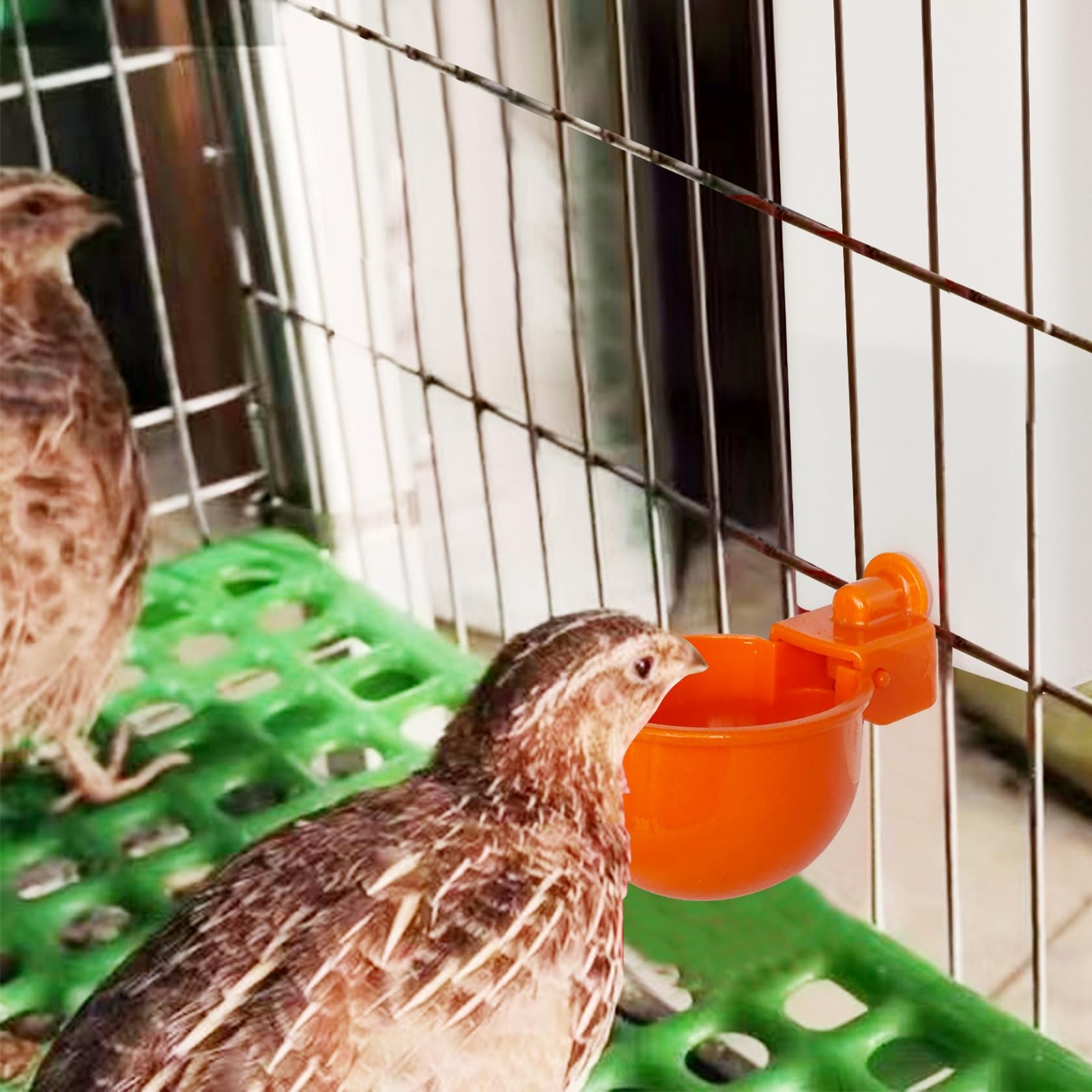 Automatic Waterer System Chick Drinker Cups 1L Hanging Automatic Fill Poultry...
