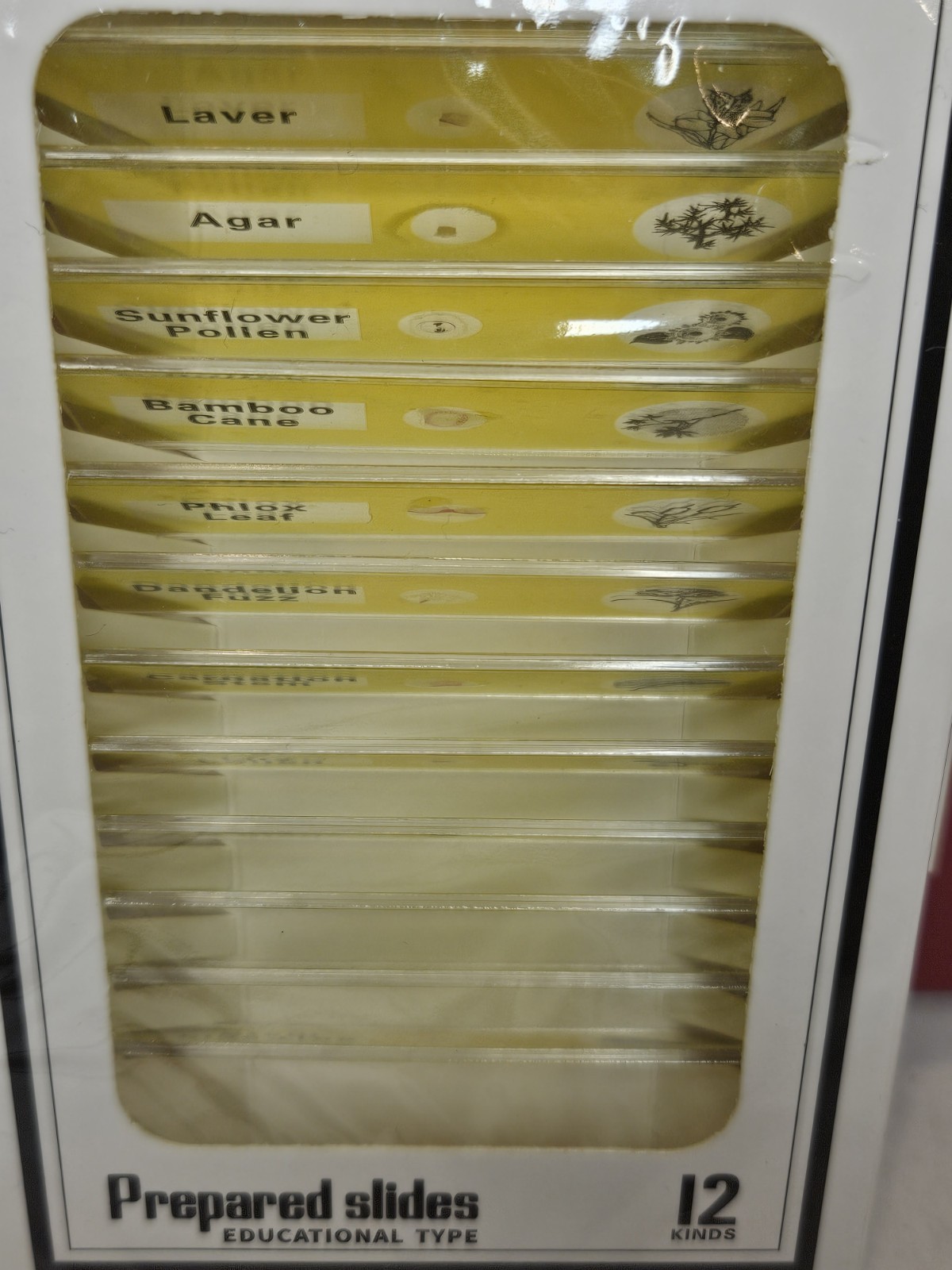 48Pcs Prepared Microscope Slides Specimen Animals Insects Plants Flowers, Etc.