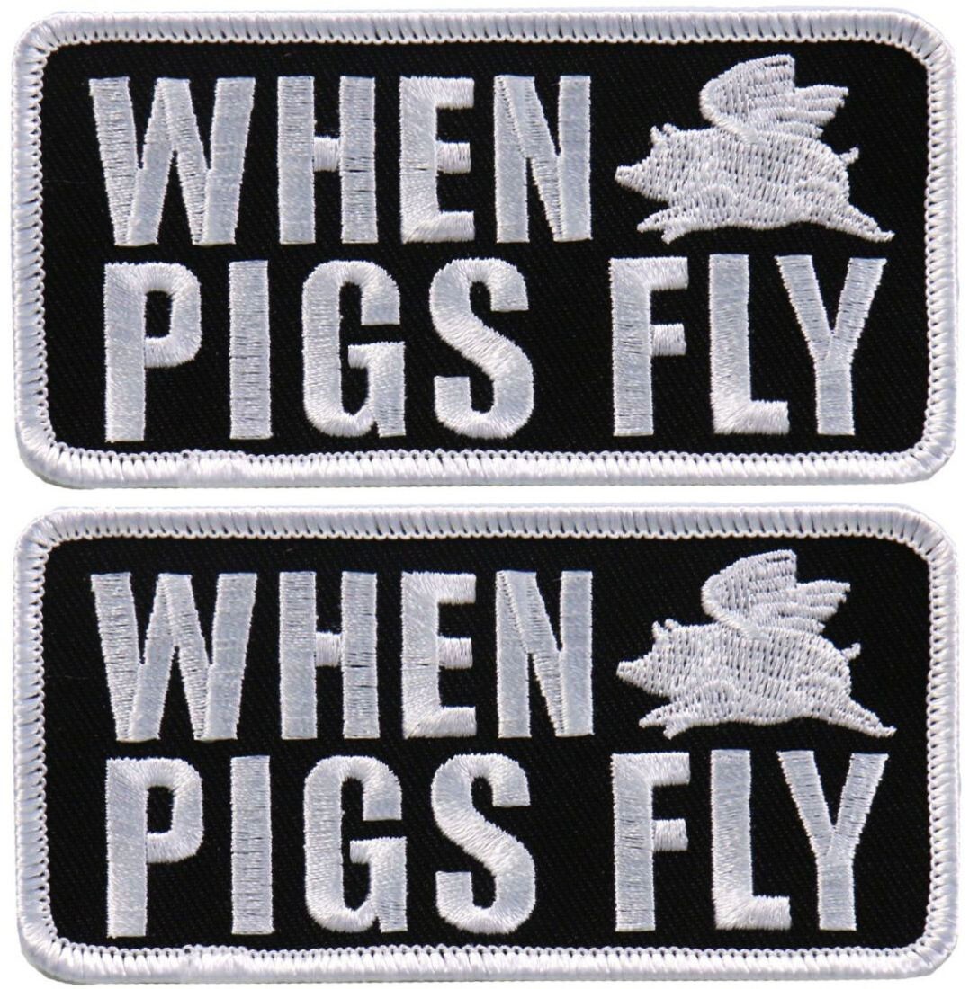 When Pigs Fly Embroidered Patch || 2PC iron on or Sew on   4"x2"