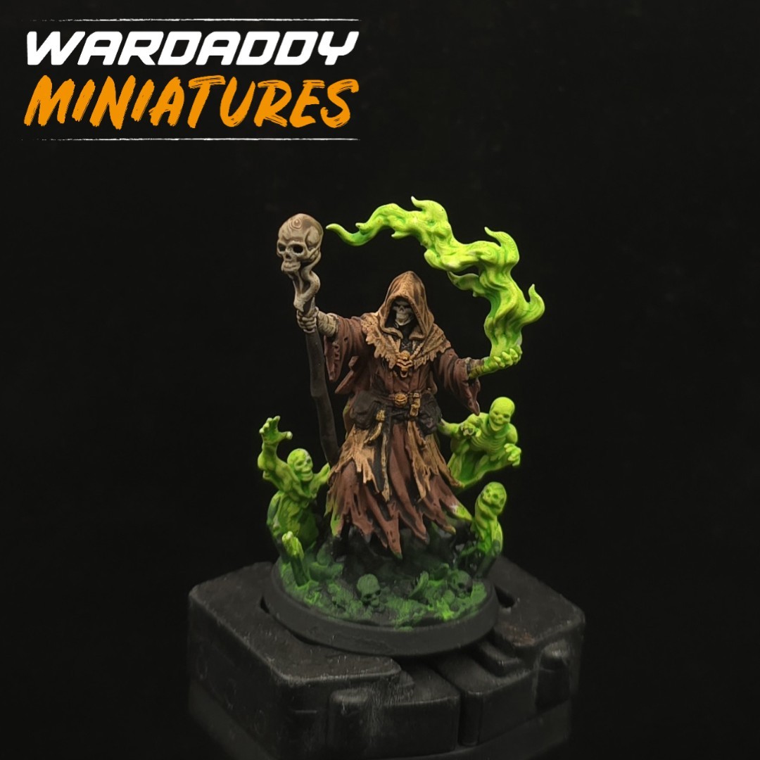 Pro Painted Dungeons & Dragons Fantasy Character Sorcerer Role Play 3D Print D&D