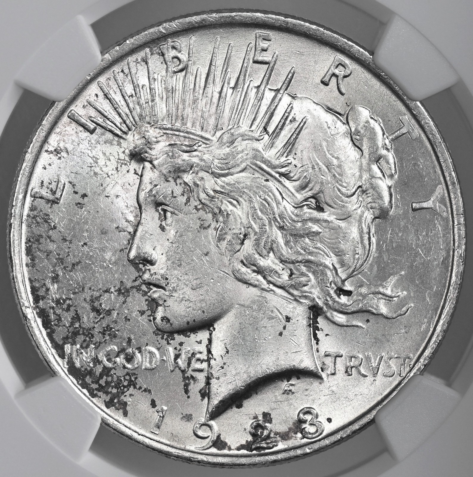 1923-P $1 PEACE SILVER DOLLAR "PHILADELPHIA" NGC MS61 #8131586-019 TONING SPOTS