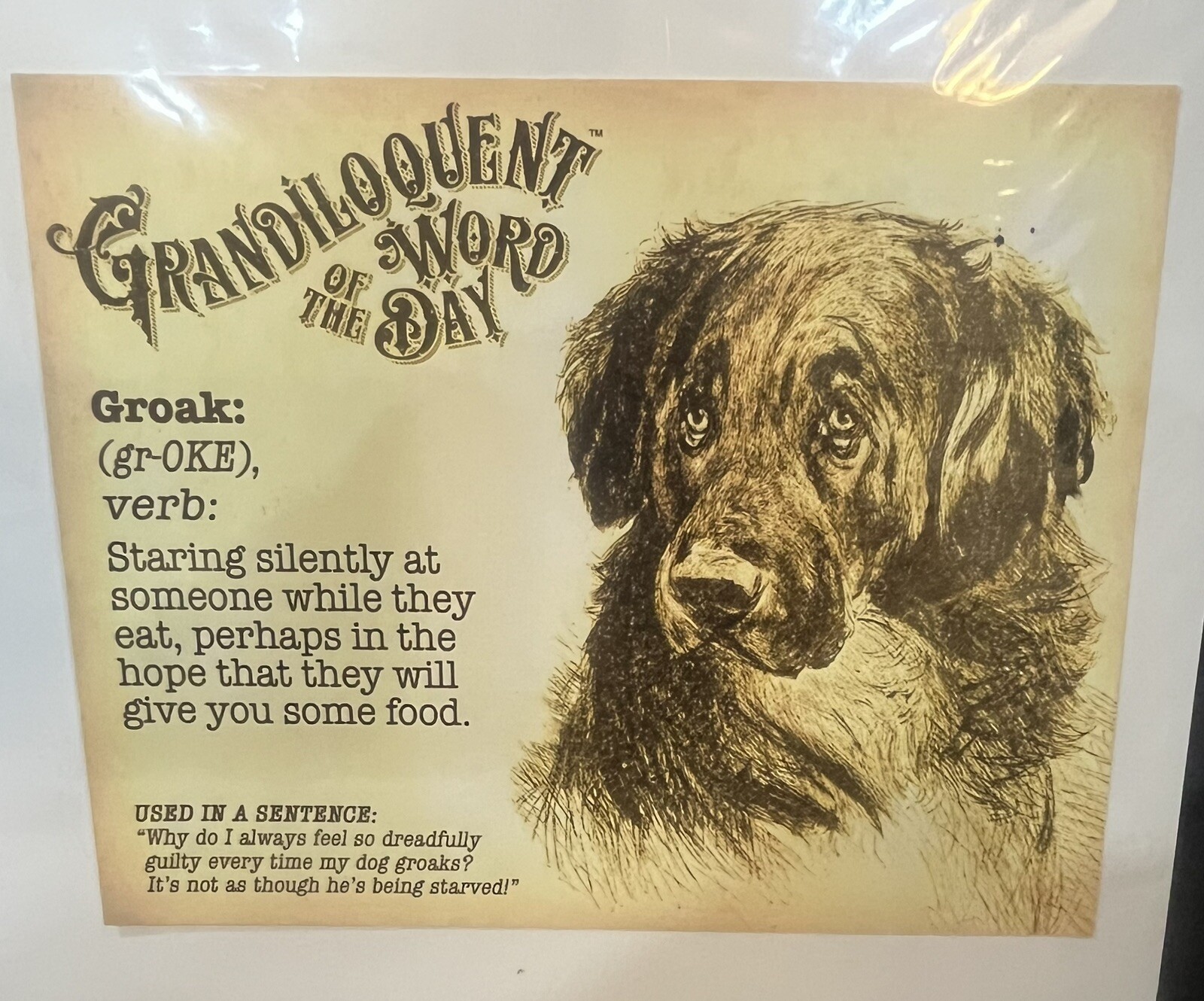 Grandiloquent Word of the Day print GROAK dog behavior logophilia lexophilia