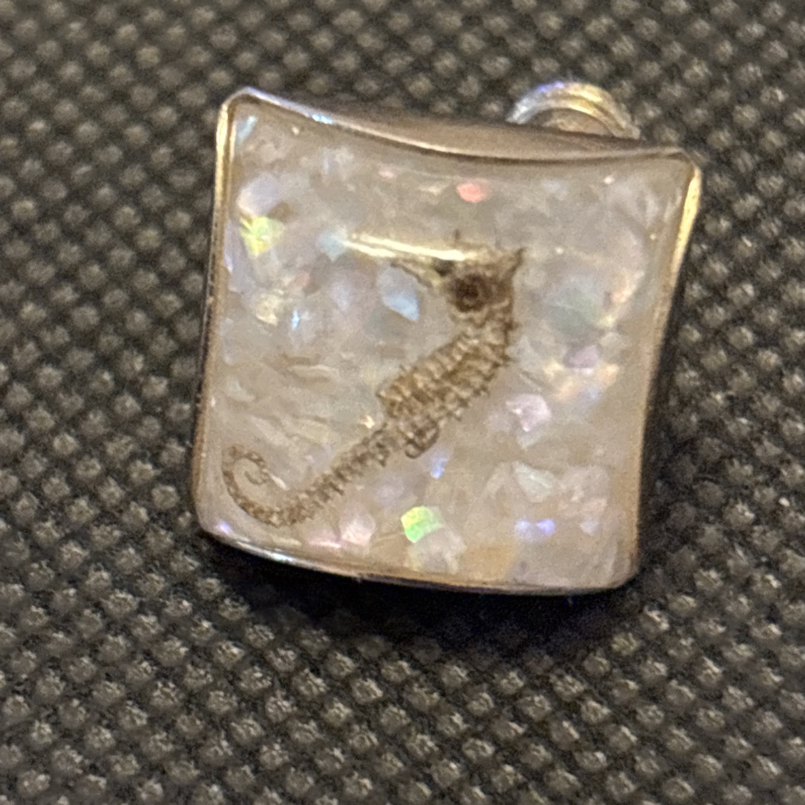 Seahorse Encapsulated Screw-back Earrings