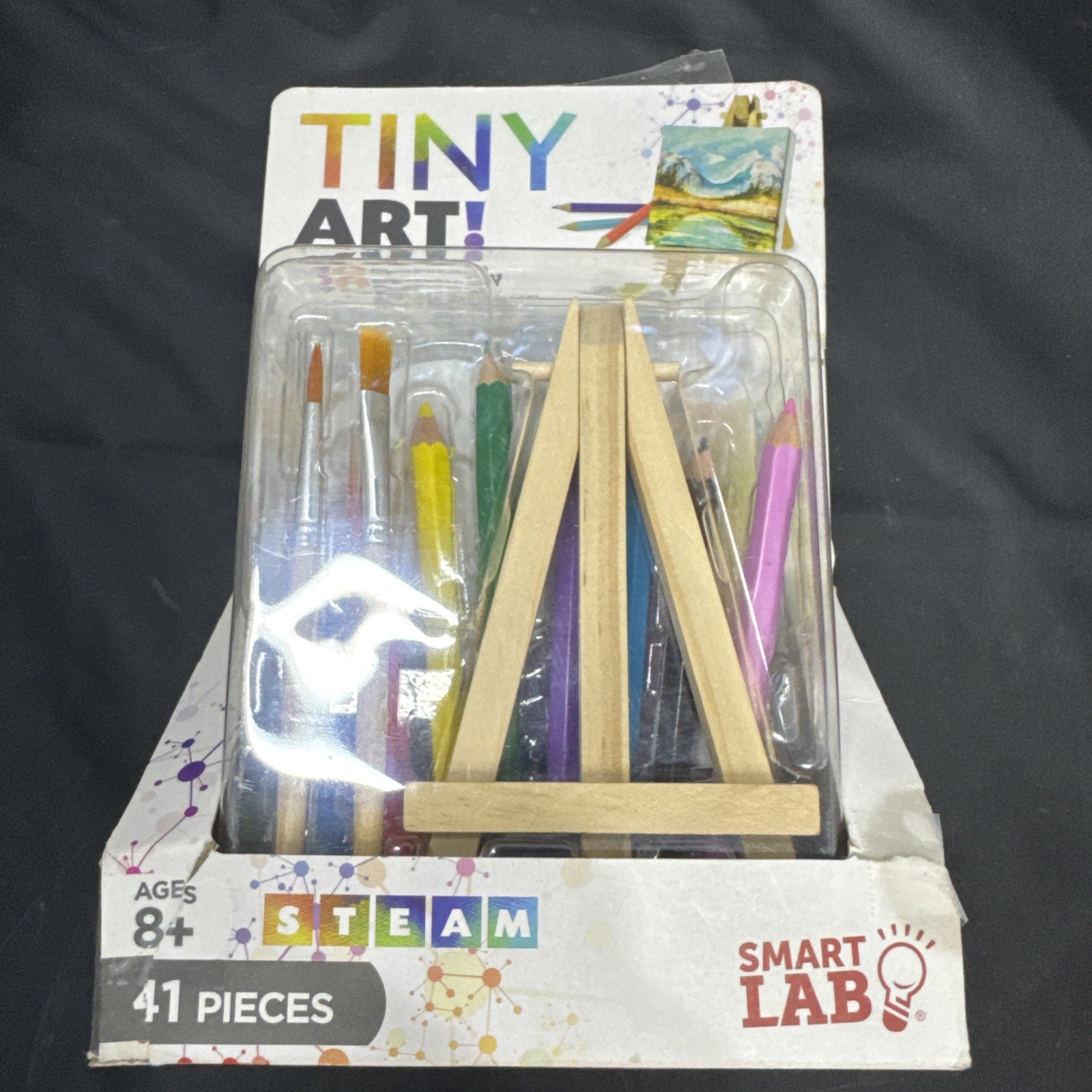 SmartLab Toys Tiny Art! 10 Enormously Artistic Activities. Big Science. Tiny T