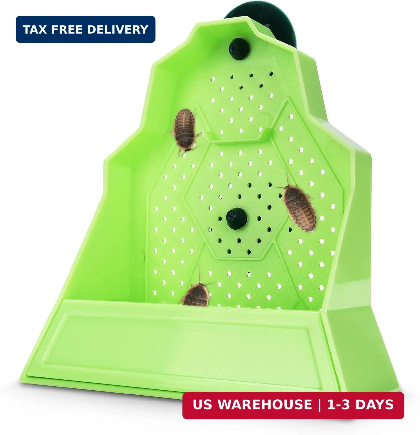 Reptile Anti-Escape Feeding Bowl, Wall-Mounted Feeder for Reptile, Stimulate Hun
