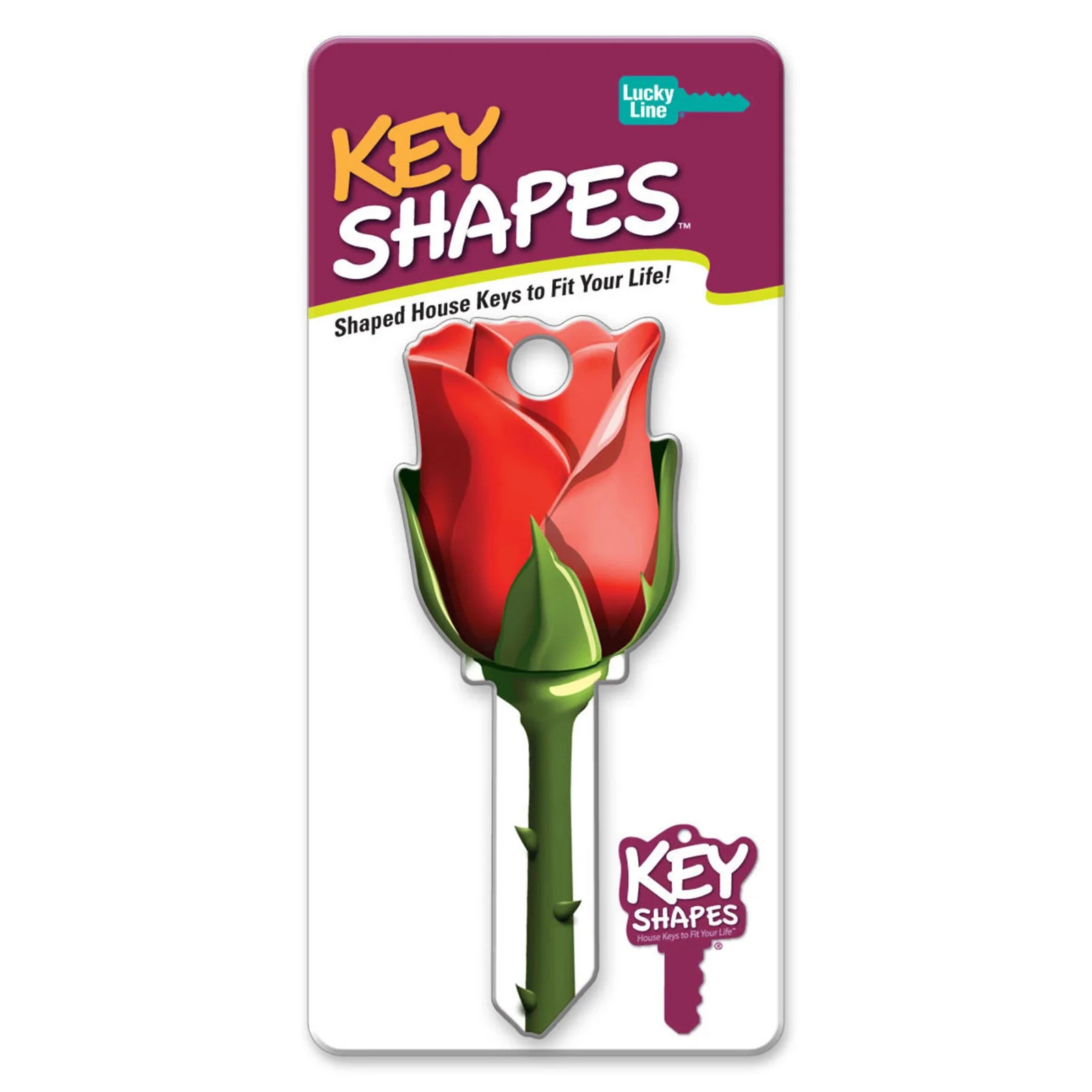 LUCKY LINE B107S ROSE SCHLAGE SC1 KEYWAY HOUSE KEY SHAPES