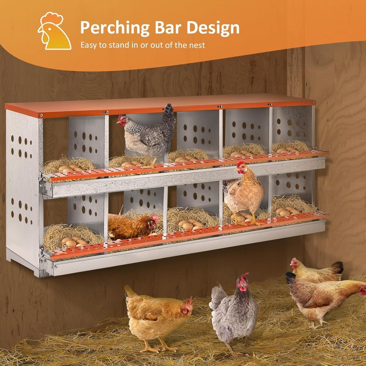 Galvanized Steel 10 Hole Chicken Bird Poultry Nest Chicken Brooding Laying Box