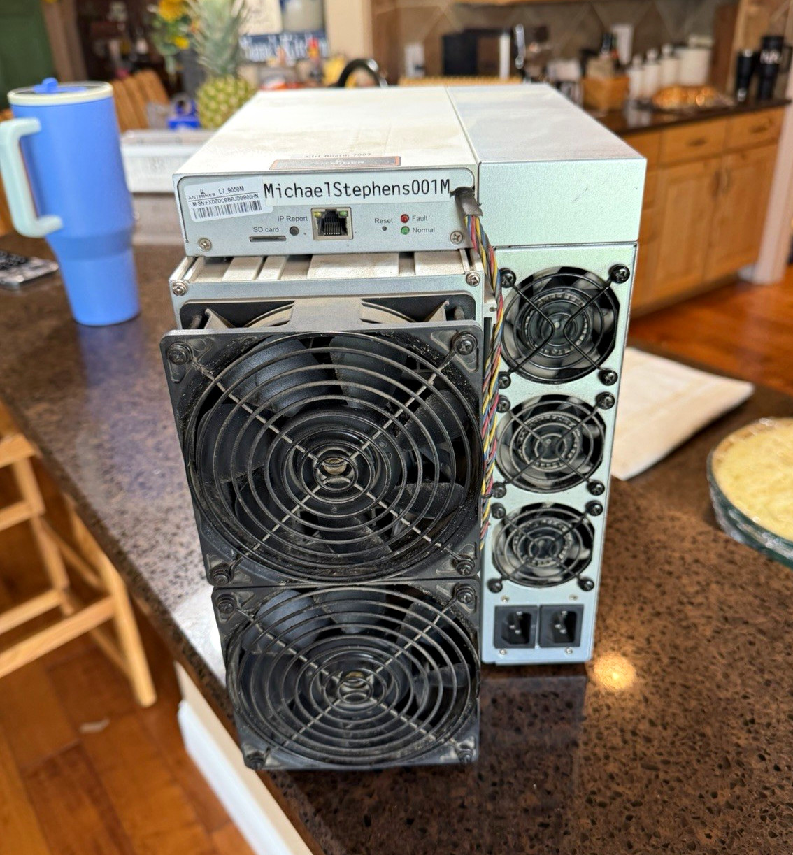 4 BITMAIN Antminer L7 9050. Hooked up since 2022