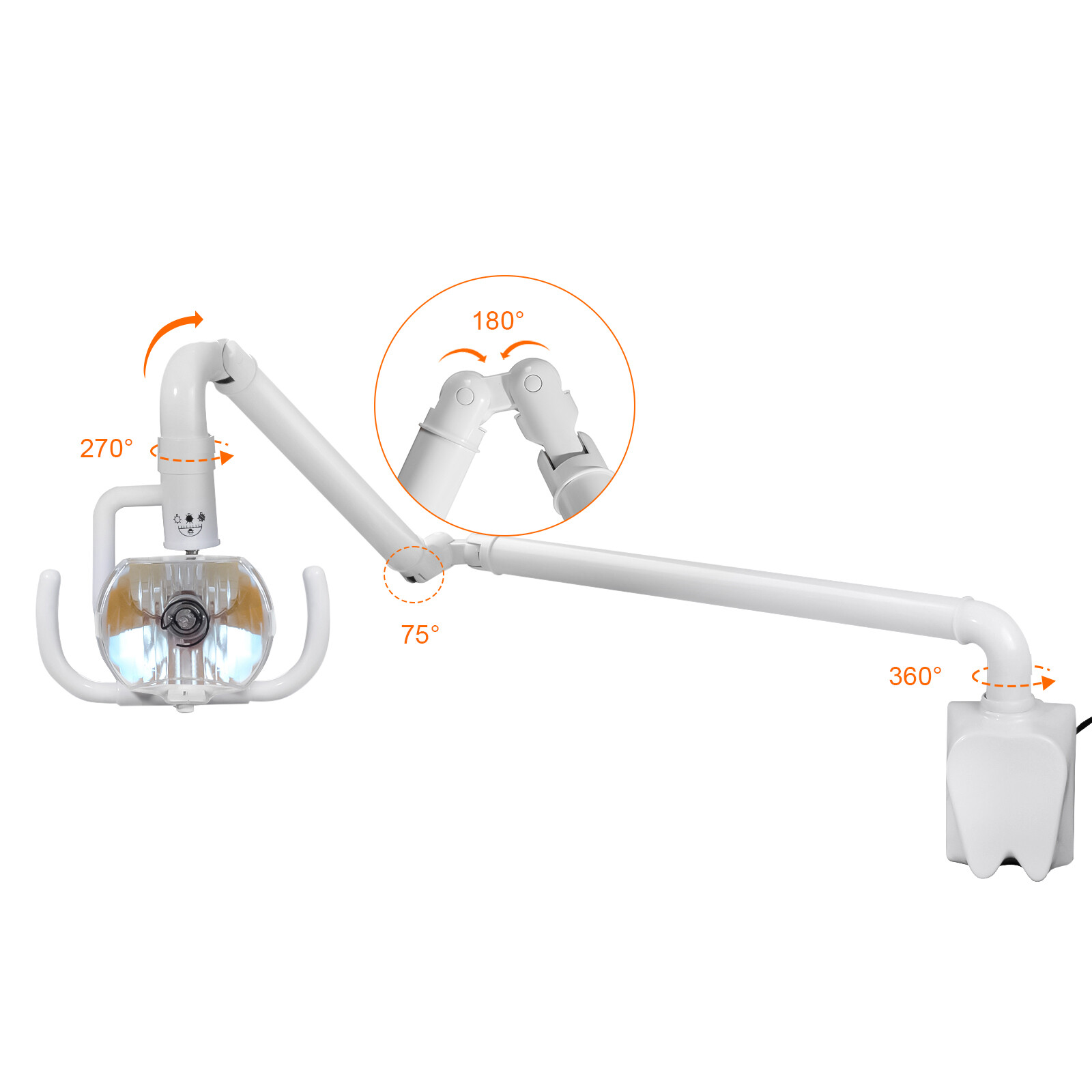 Wall Mounted Dental Shadowless Oral Cold Light Halogen Lamp Medical Exam Light