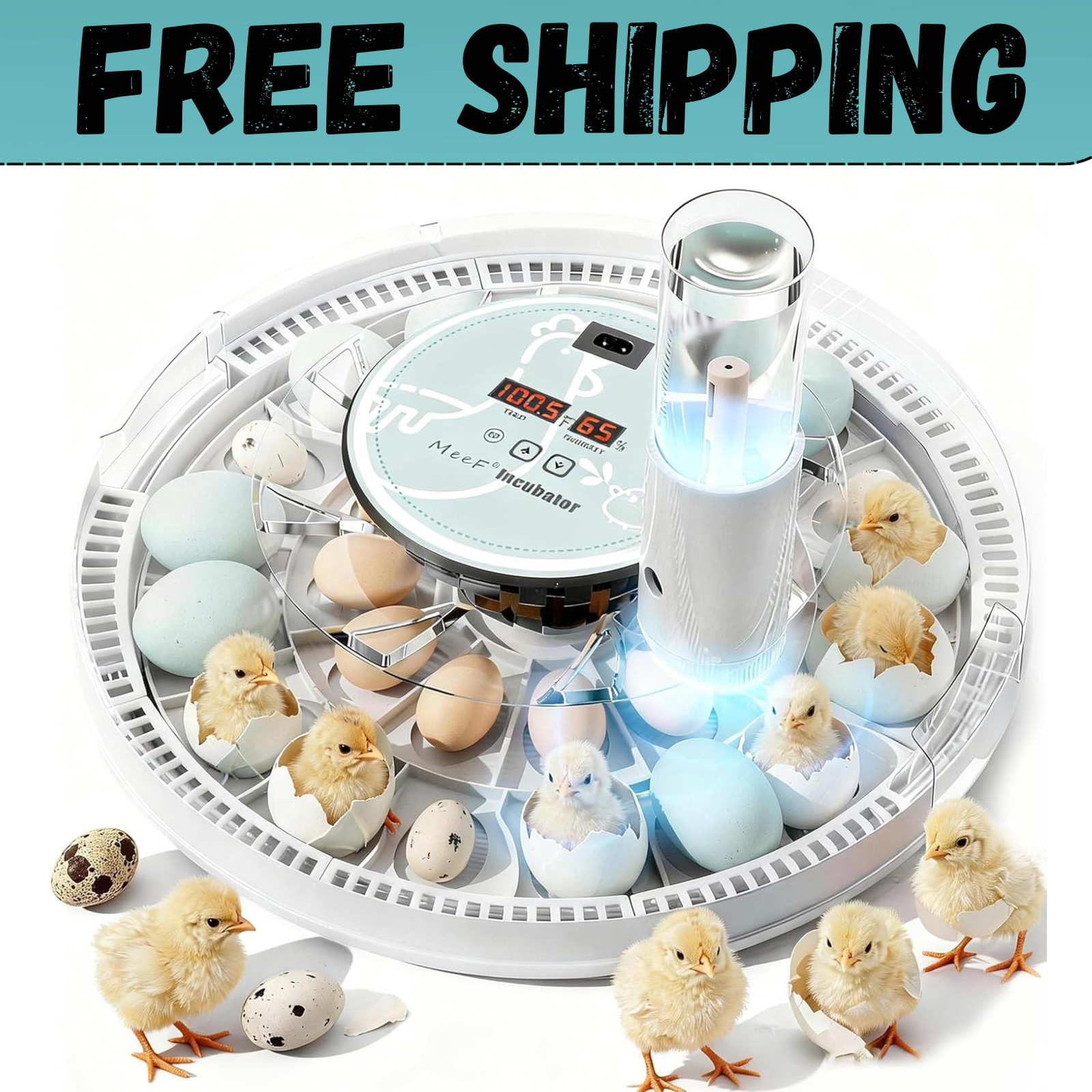 Egg Incubator for Hatching 28 Eggs, Auto Flip, Independent Atomizing Humidifier,