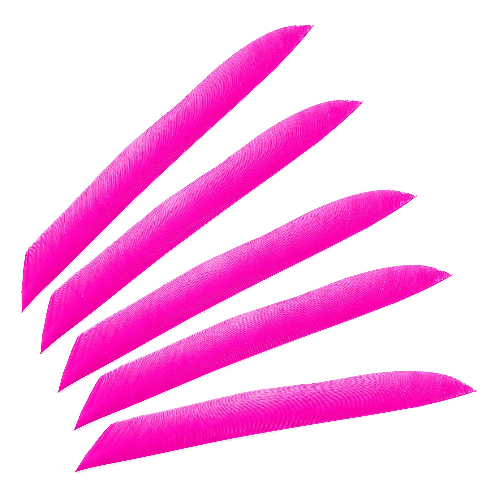50pcs Arrows Vanes 11 Inch Turkey Feather Arrow Fletching Left Wing, Pink