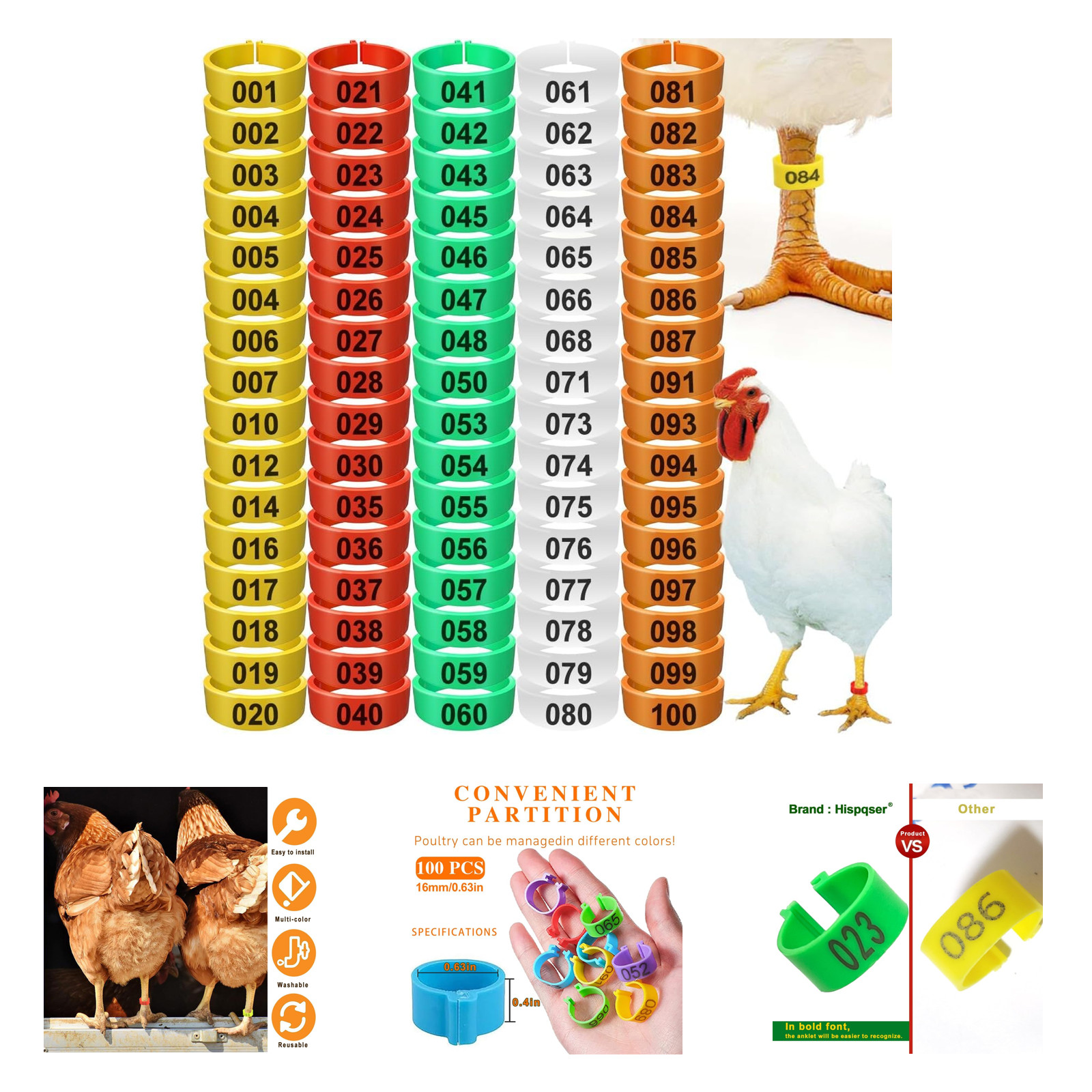 Chicken Leg Bands 16mm 100 Pcs Poultry Identification Tags in Multicolor